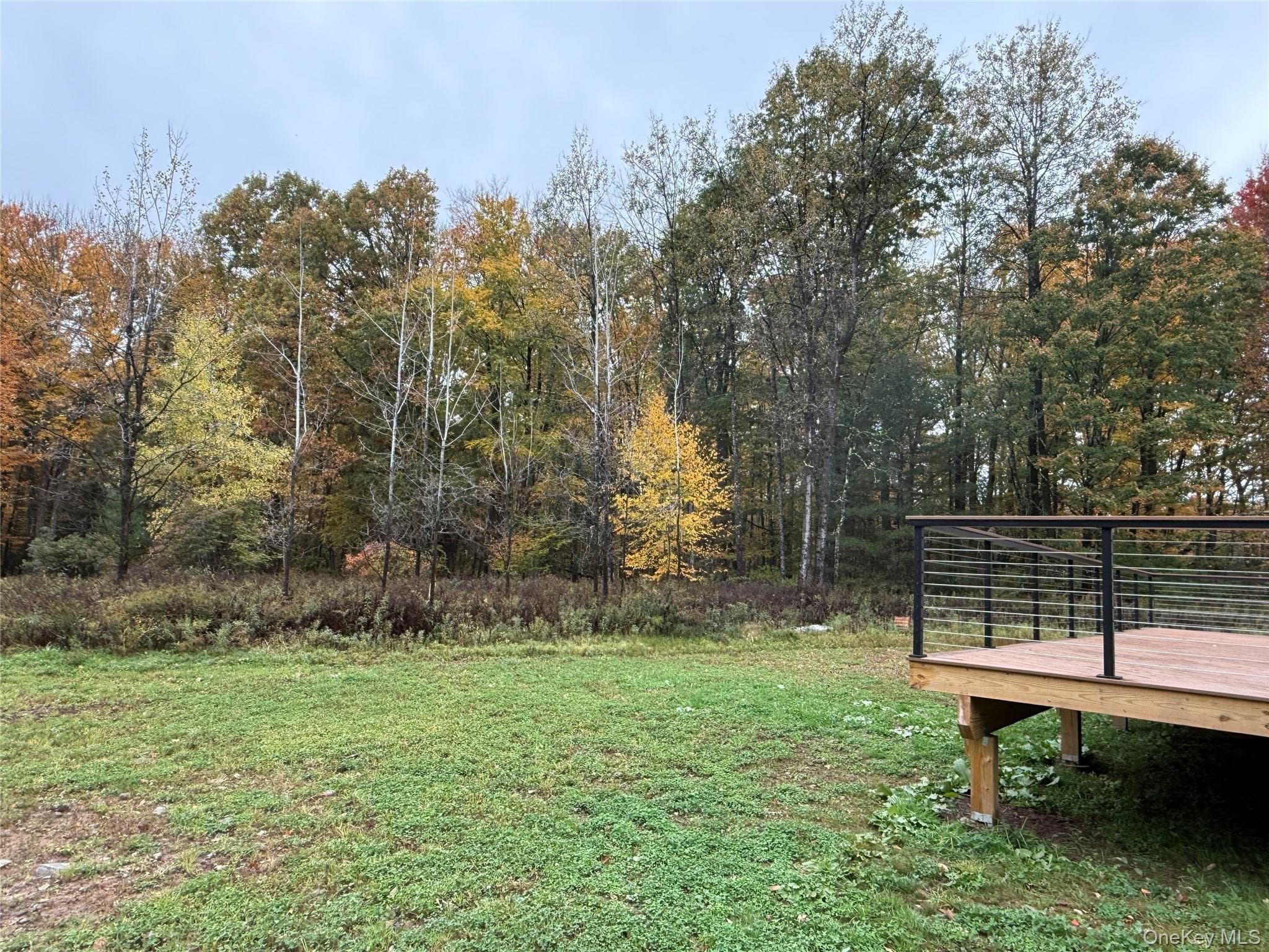 1114 County Road 114 thumbnail 34