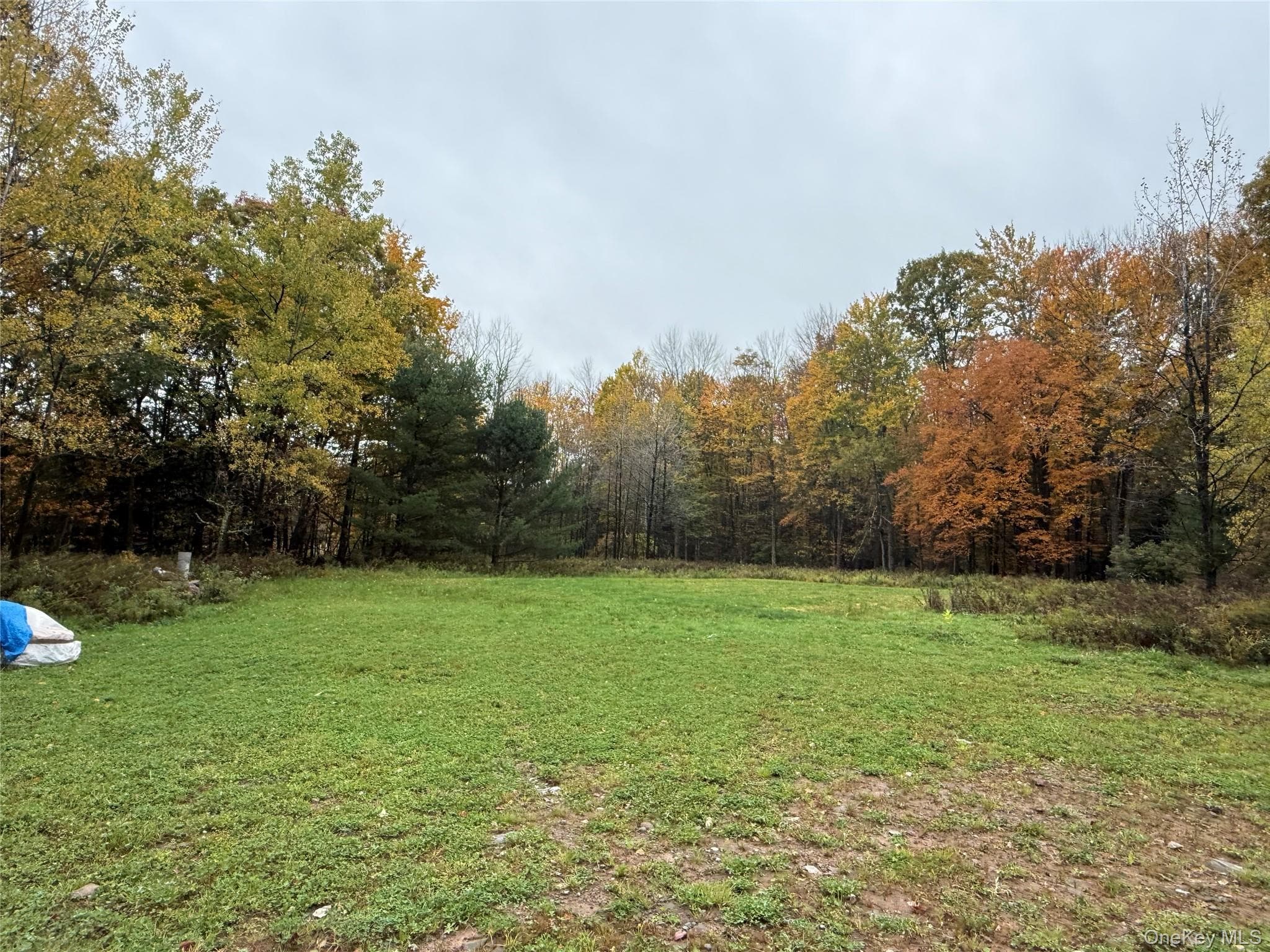 1114 County Road 114 thumbnail 35