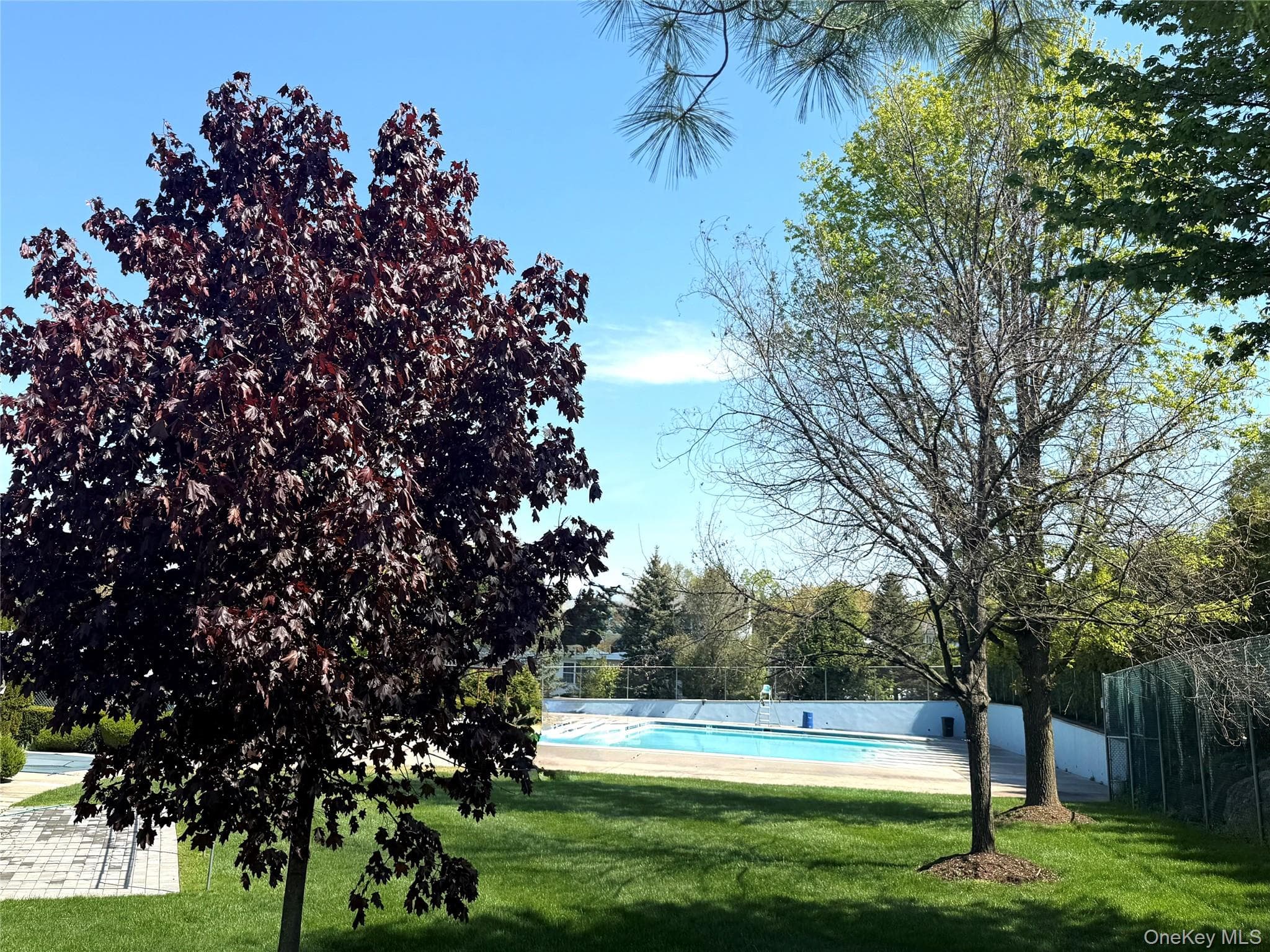 164 Somerset Drive thumbnail 3