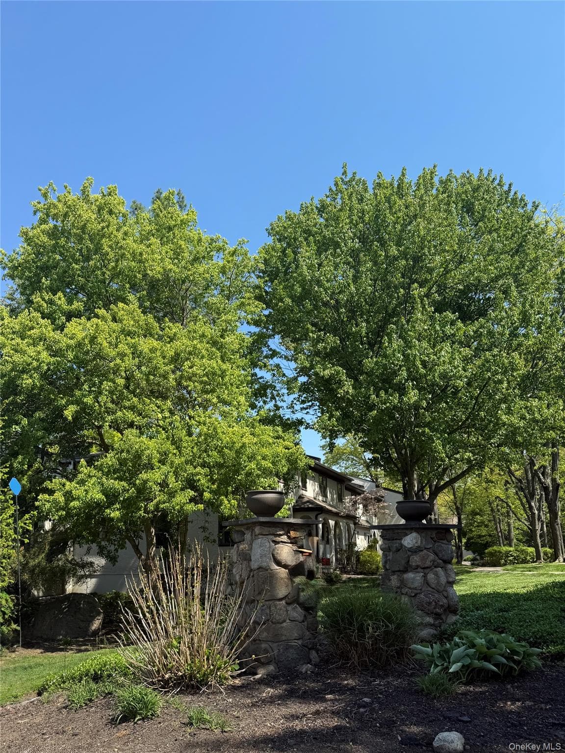 164 Somerset Drive thumbnail 31