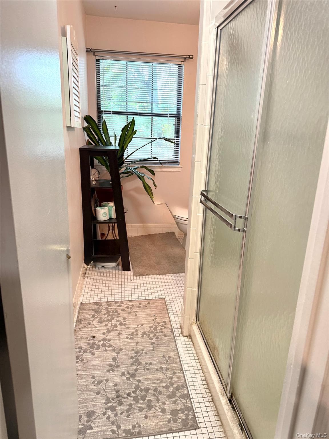 164 Somerset Drive thumbnail 16