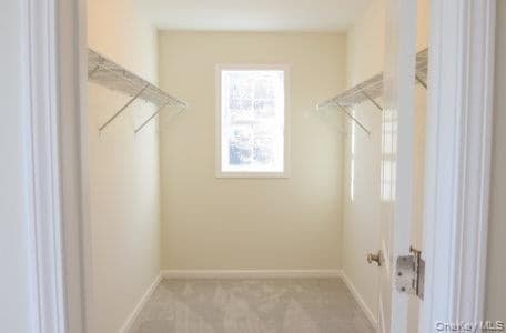 5 James Place thumbnail 12