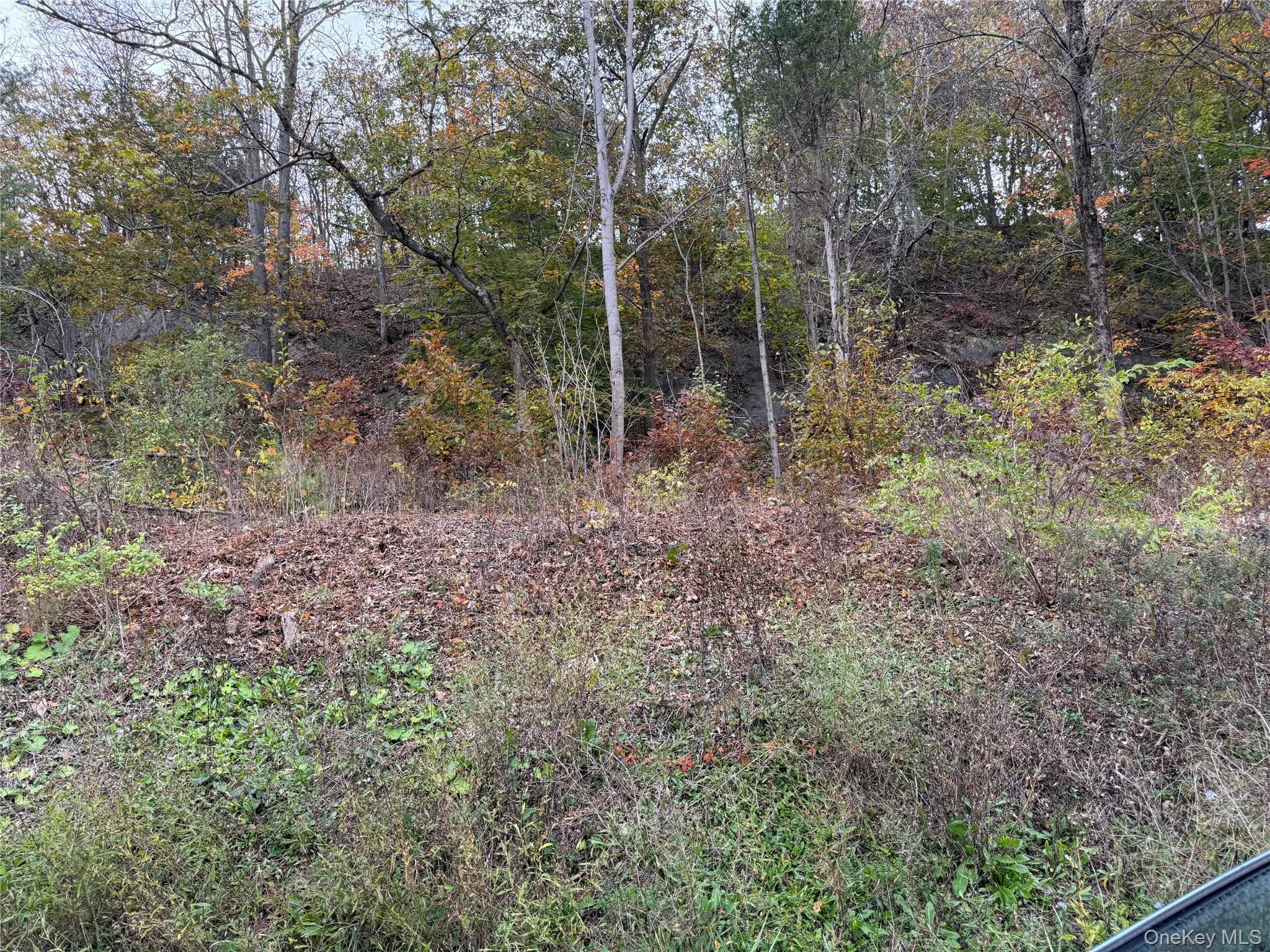 2679 Route 9w thumbnail 7