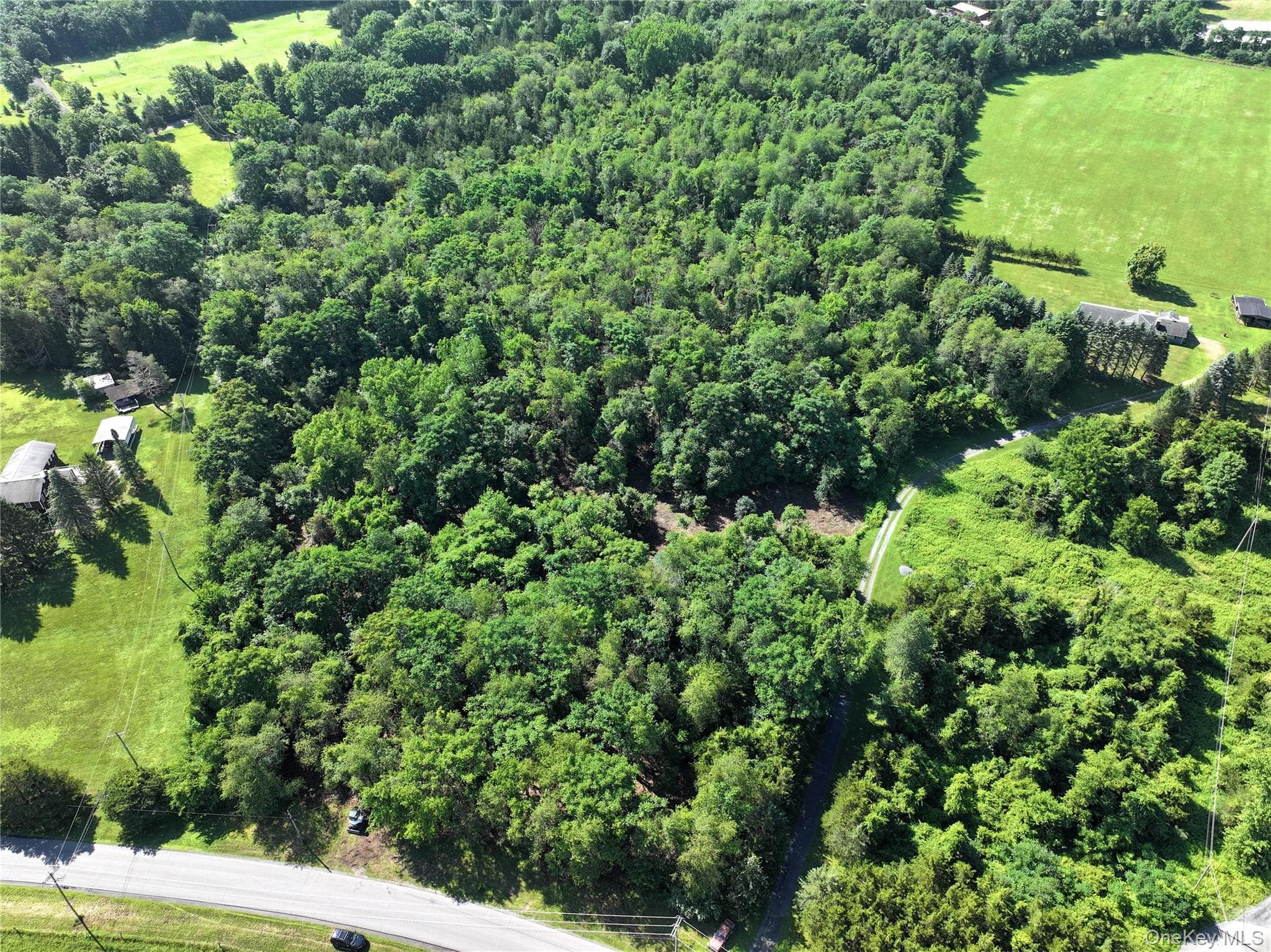 Bells Pond Road thumbnail 7