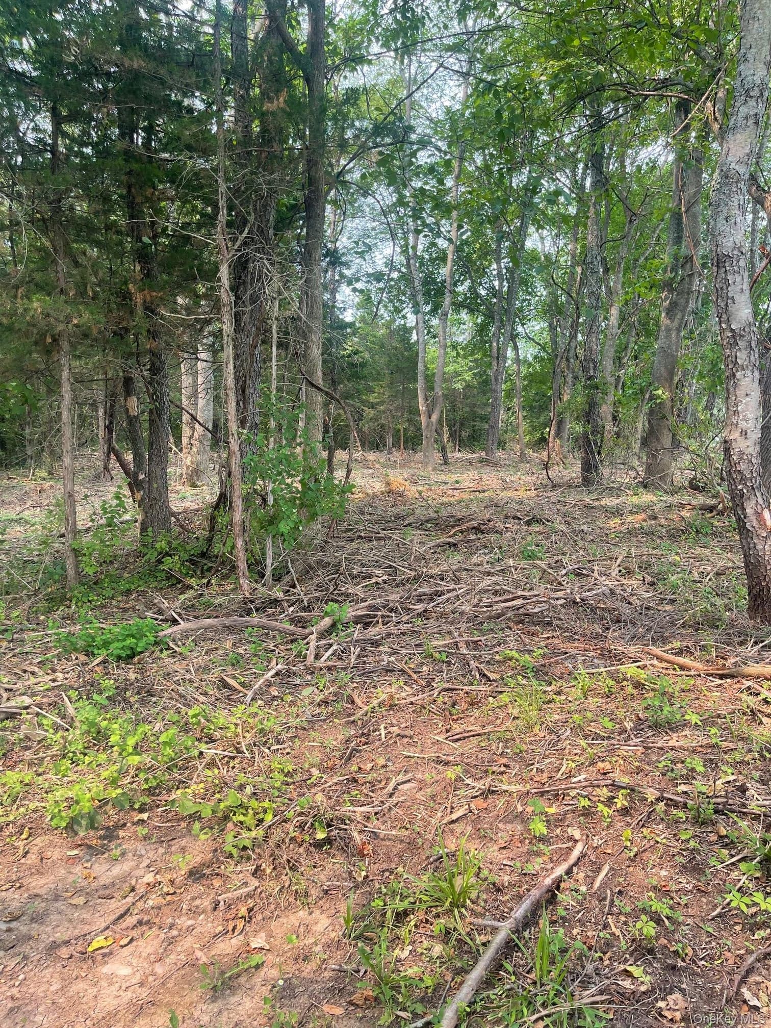 Bells Pond Road thumbnail 24