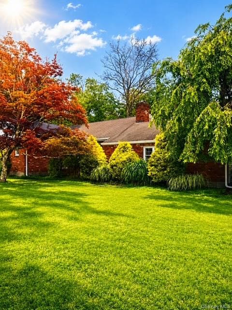 183 White Road photo 1