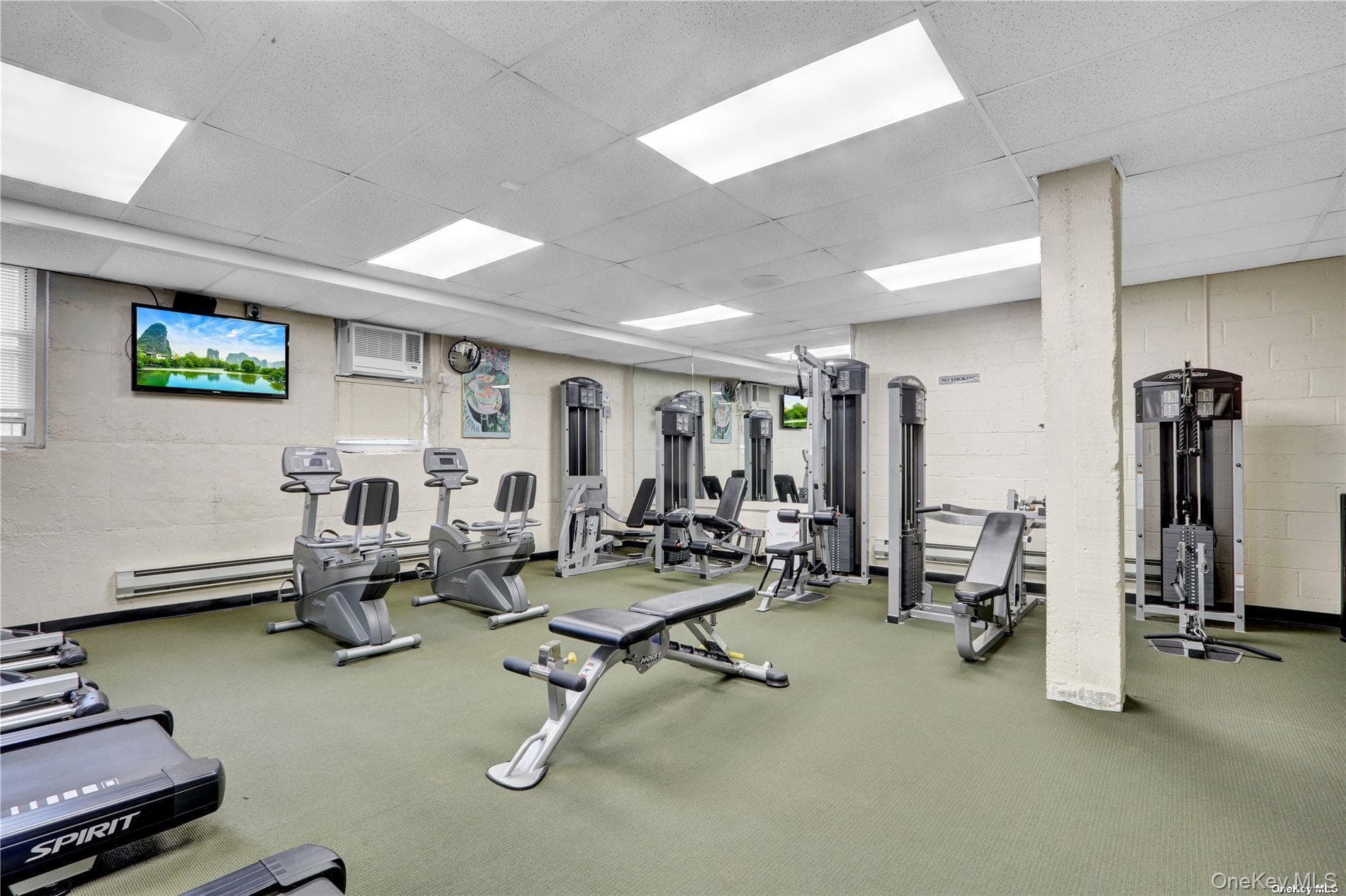 54-44 Little Neck Parkway Pkwy Unit: 2D thumbnail 10