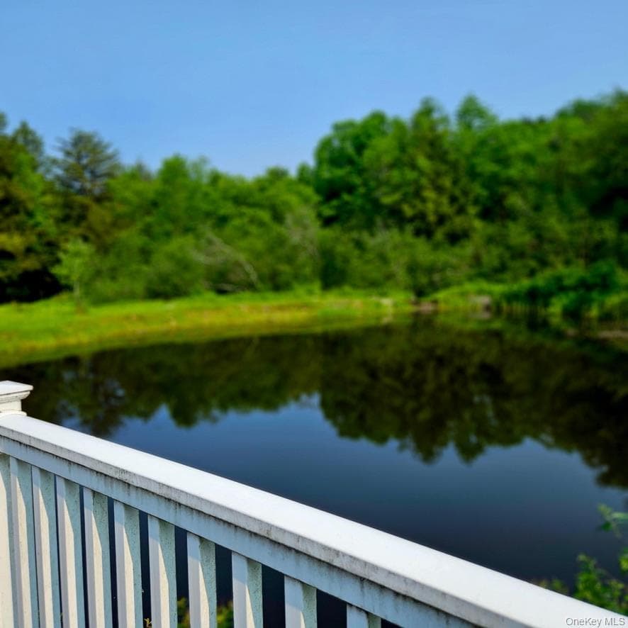 141 Bonnie Brook Road thumbnail 43