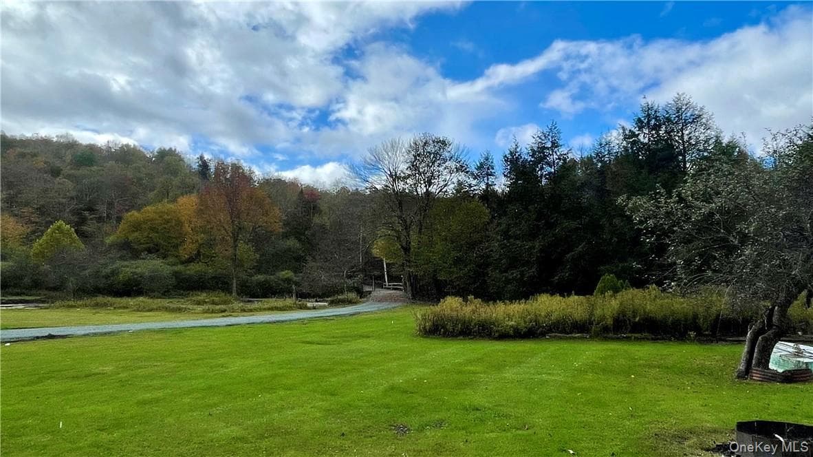 141 Bonnie Brook Road thumbnail 15