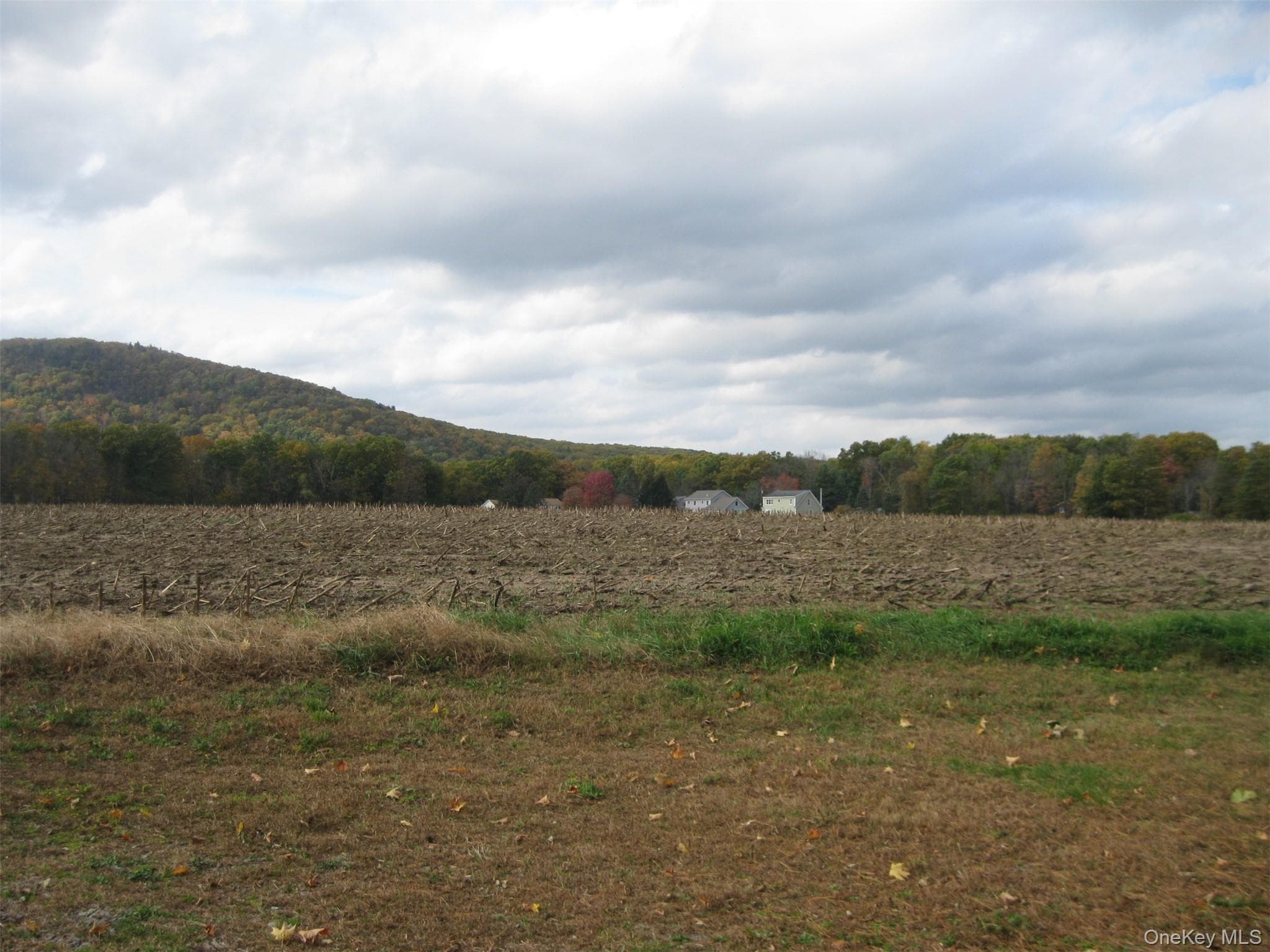 82 Lake Road thumbnail 34