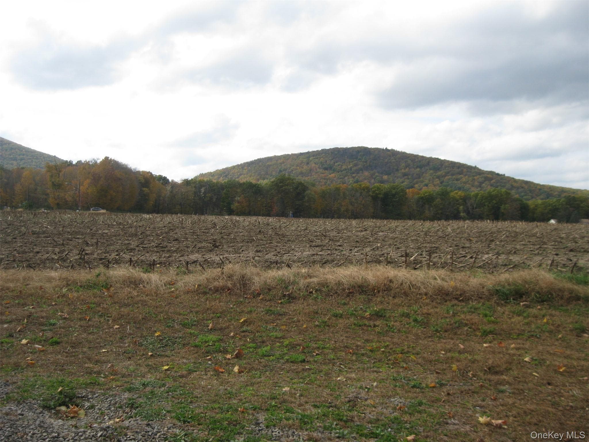 82 Lake Road thumbnail 33