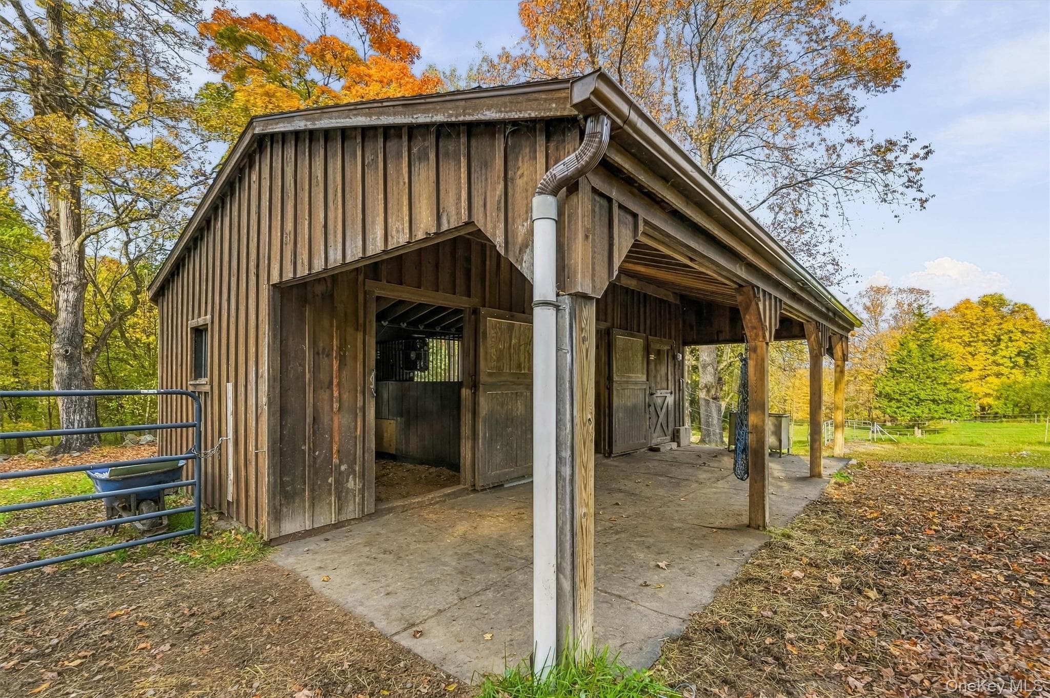 85 Foster Road thumbnail 31