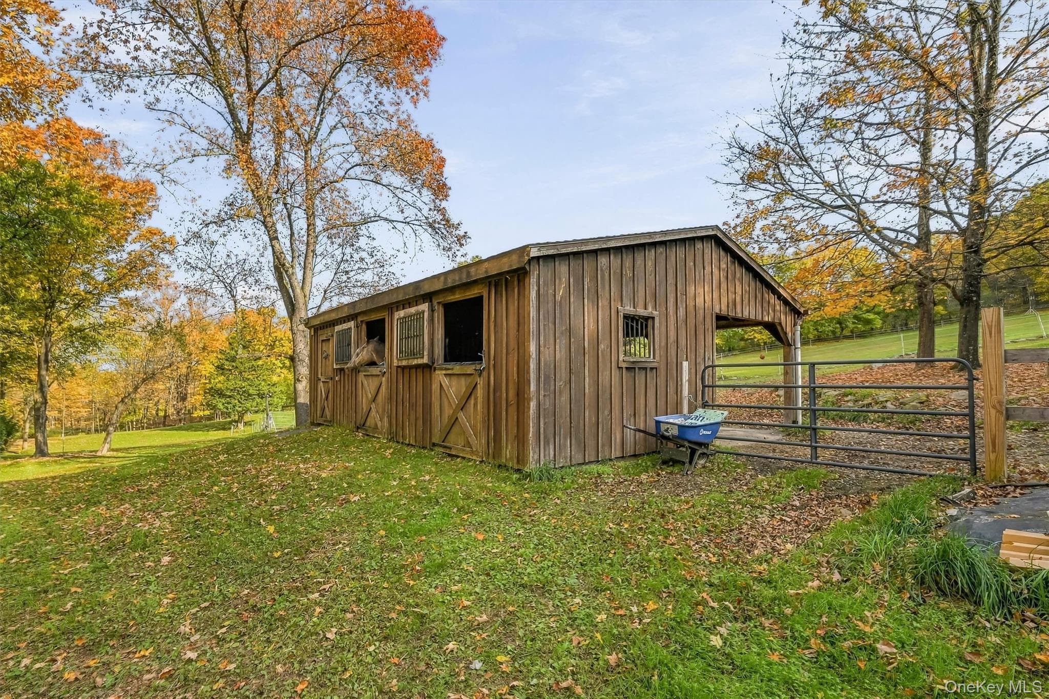 85 Foster Road thumbnail 29