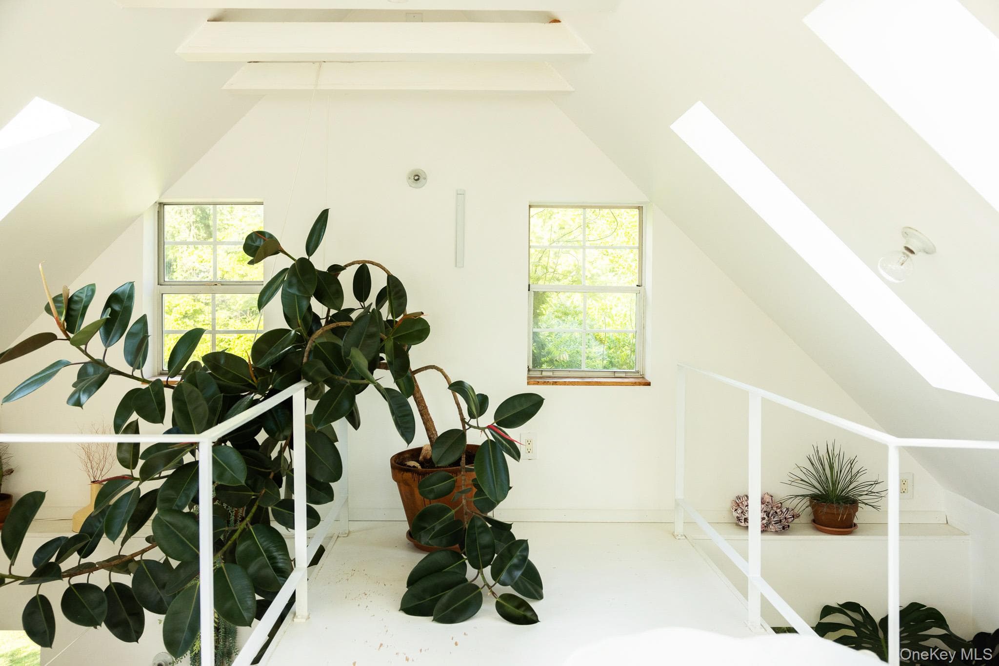 19 Cottage Lane thumbnail 23