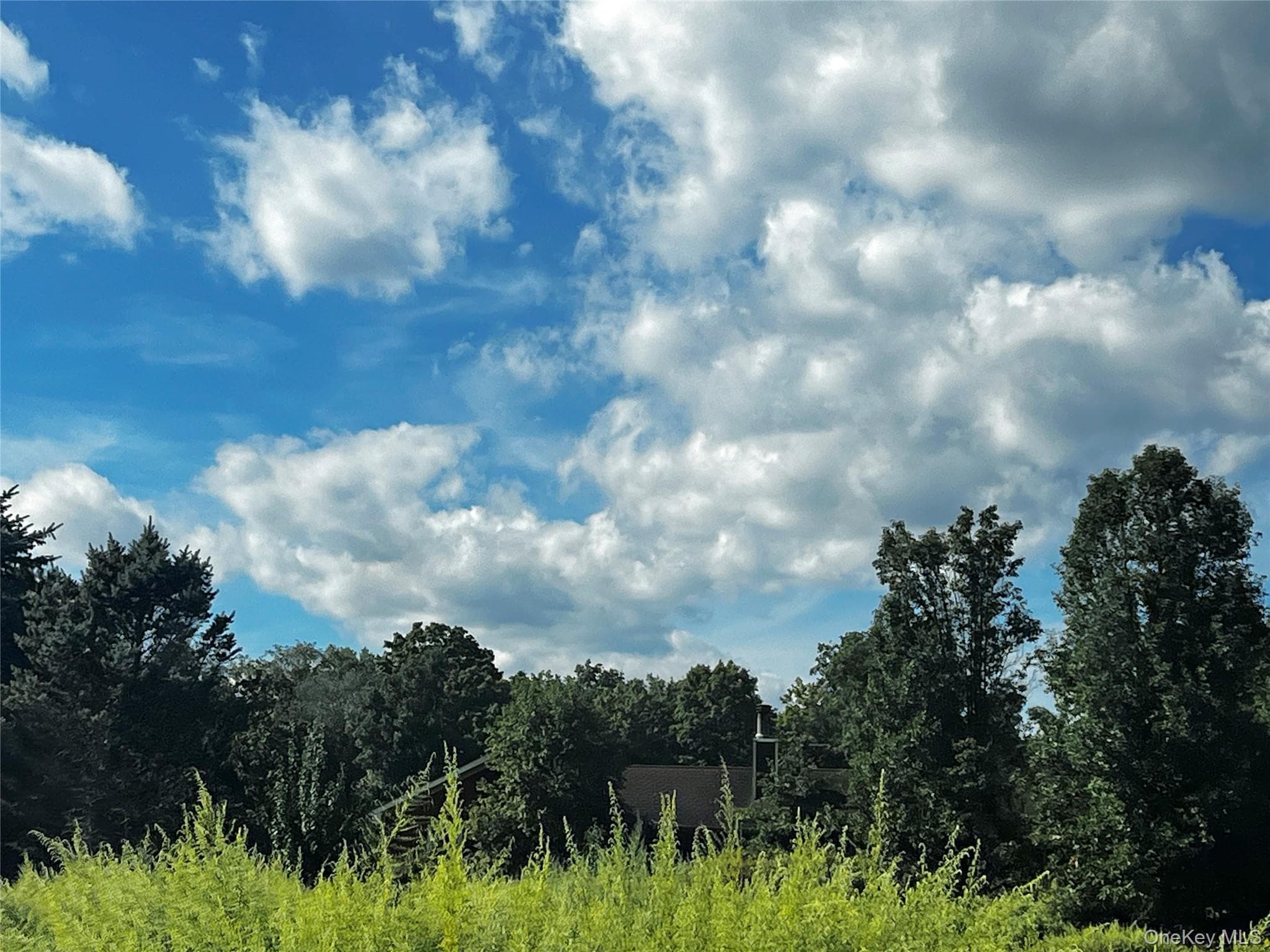 907 Scotchtown Collabar Road thumbnail 3