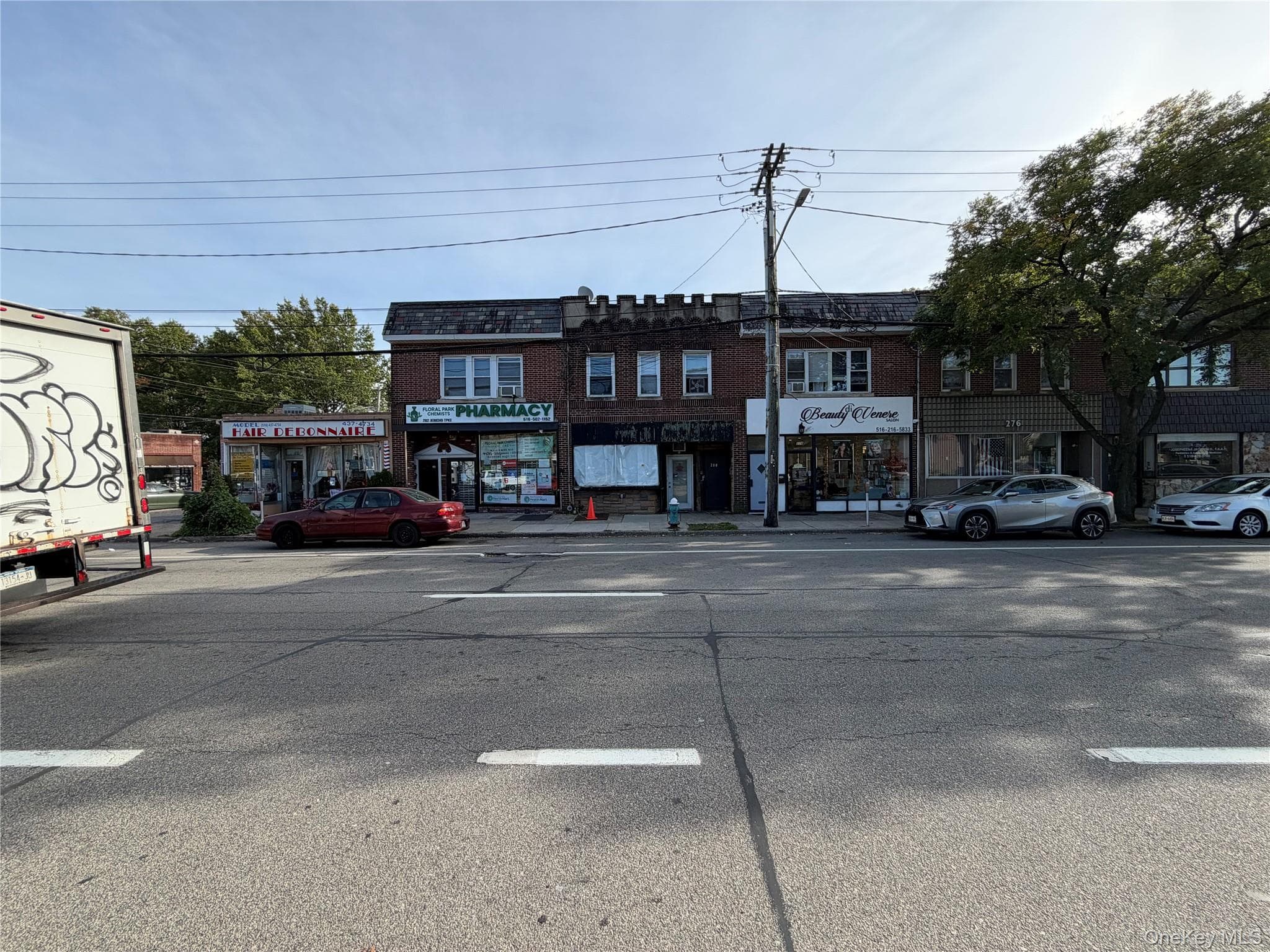 280 Jericho Turnpike thumbnail 2