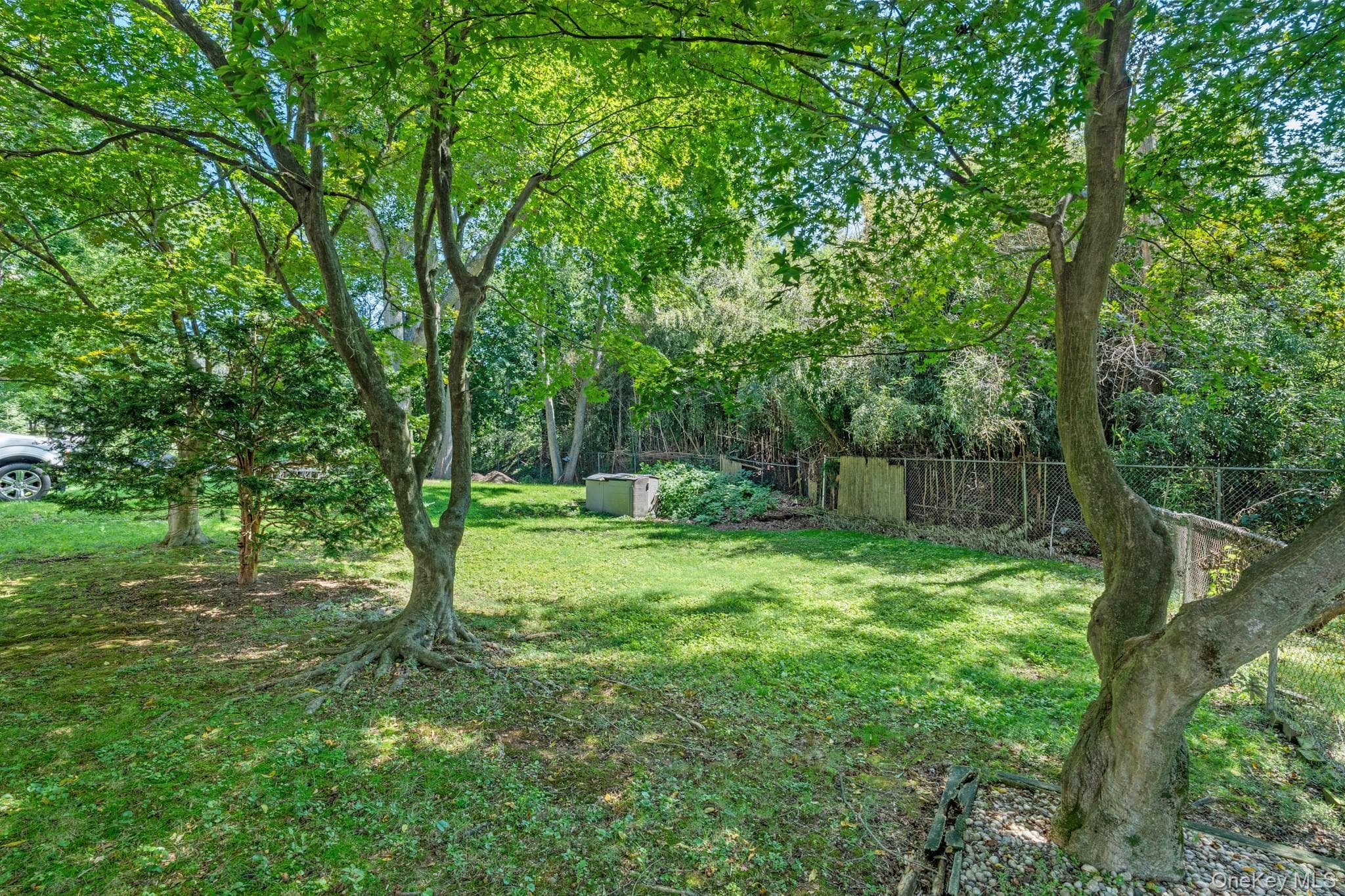 141 Homewood Avenue thumbnail 35