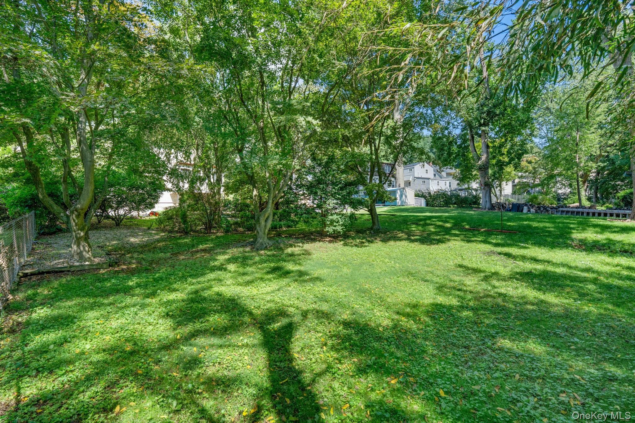 141 Homewood Avenue thumbnail 36