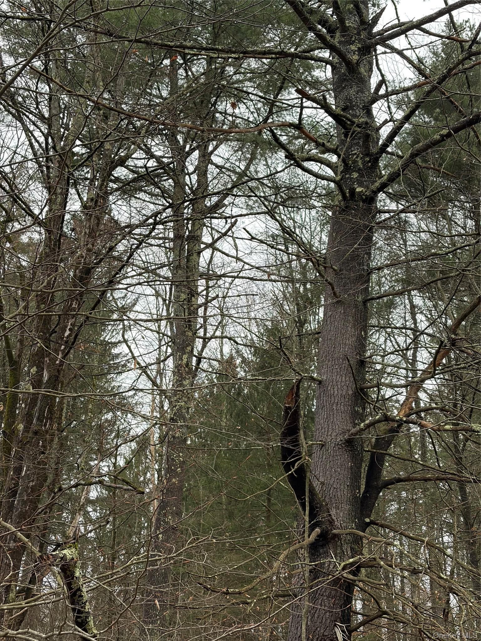 378 Gregory Road thumbnail 35