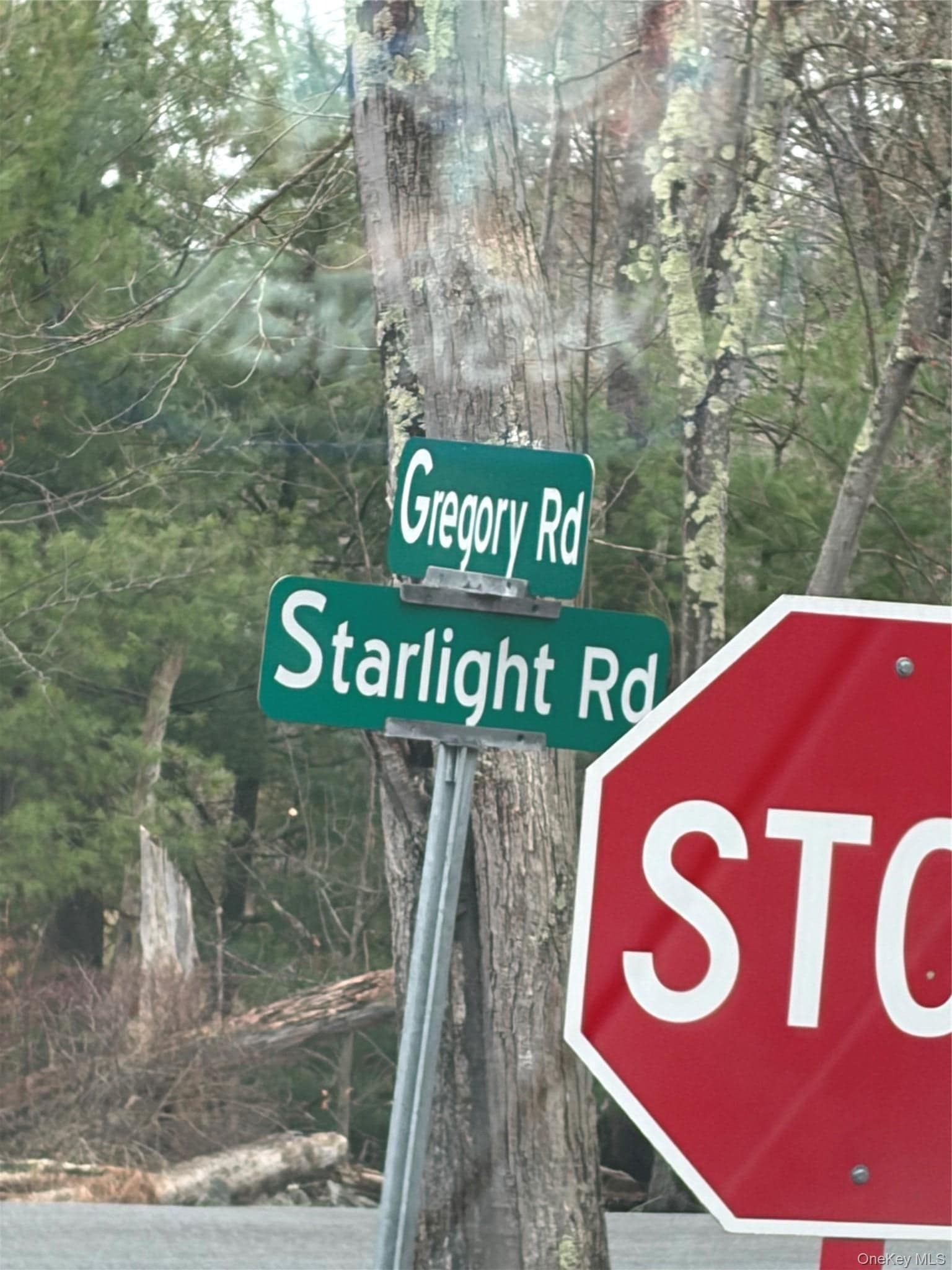 378 Gregory Road thumbnail 37