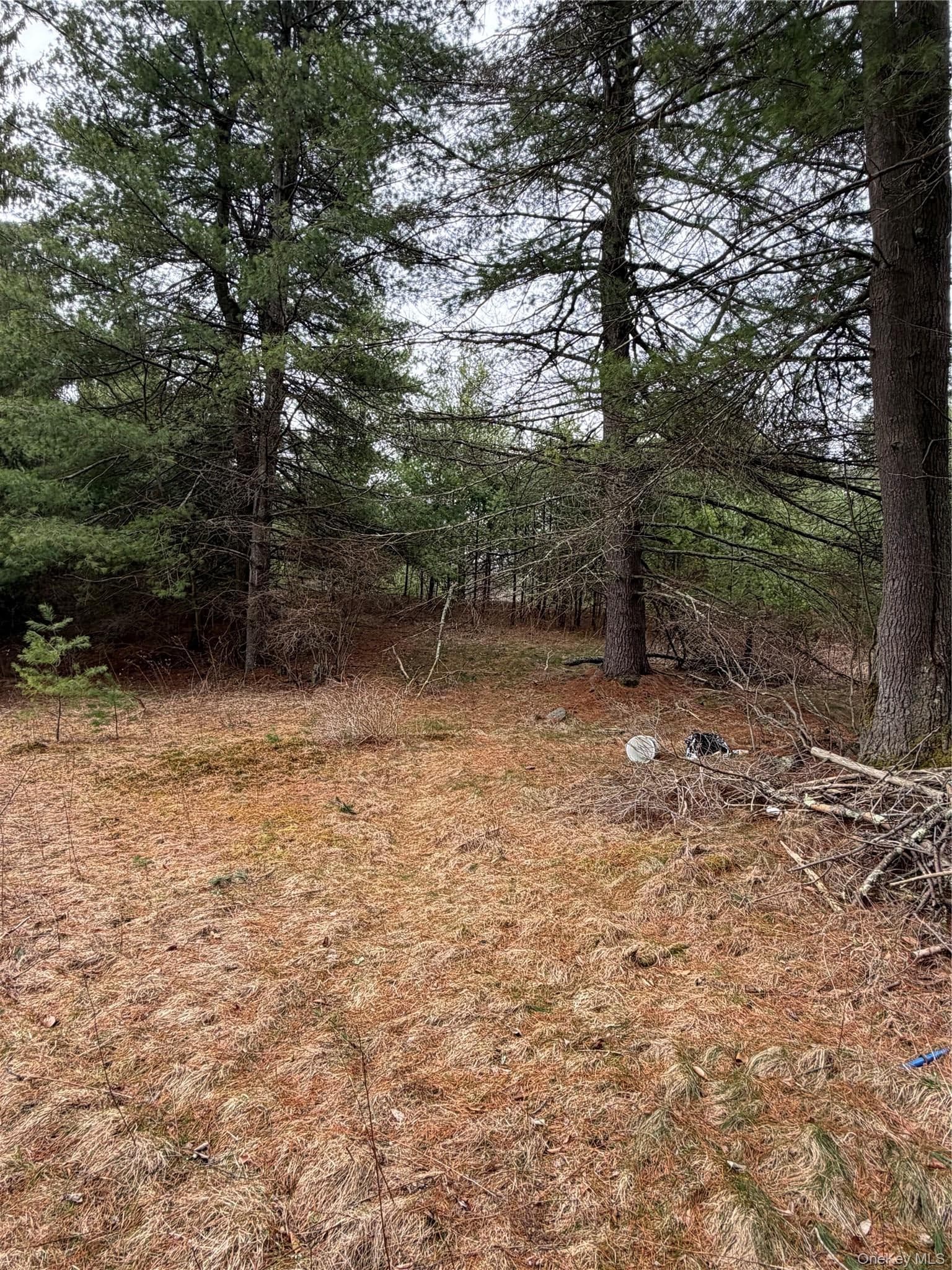 378 Gregory Road thumbnail 21