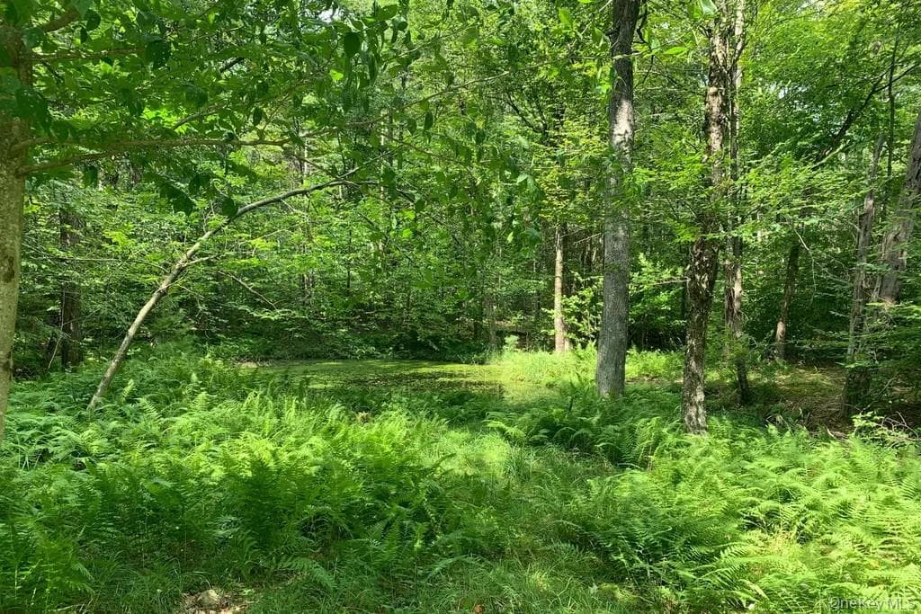 Lot 23 Woodstone Trail thumbnail 6