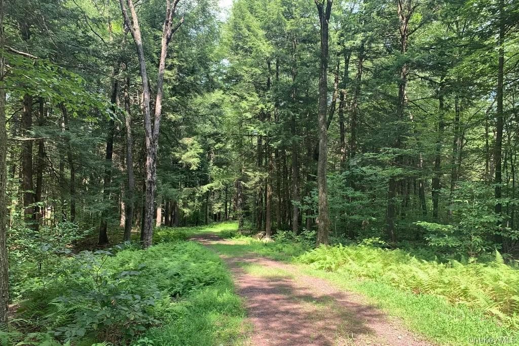 Lot 23 Woodstone Trail thumbnail 5
