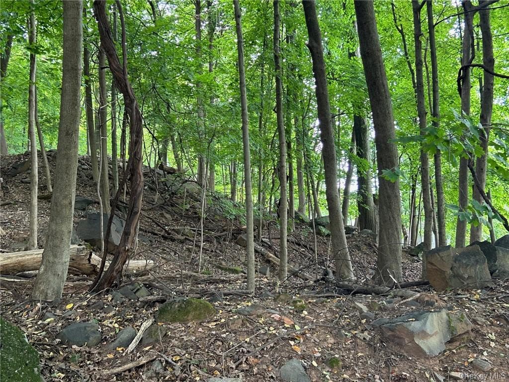 63 Westside Avenue thumbnail 7
