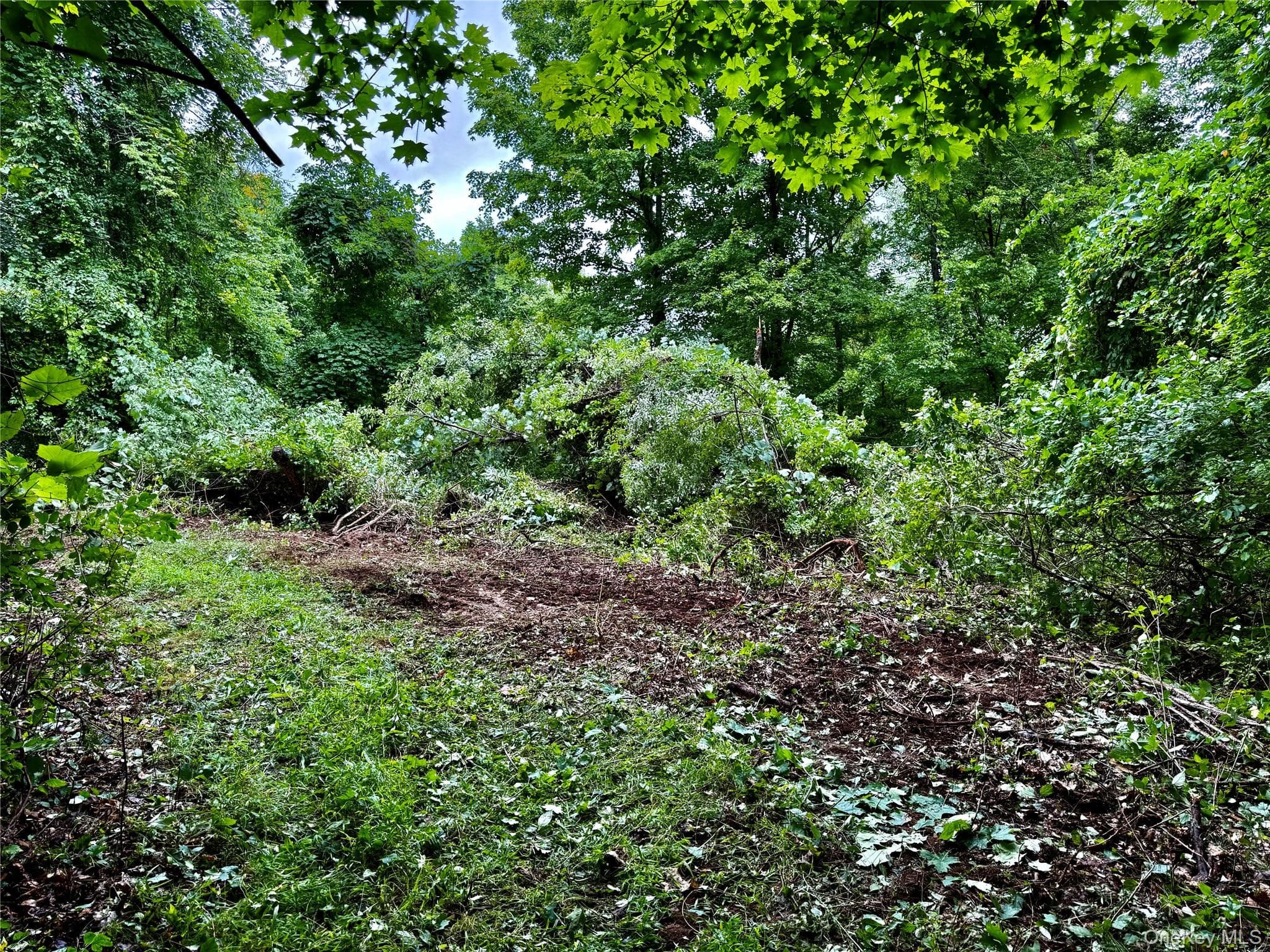 150 Weaver Road thumbnail 4