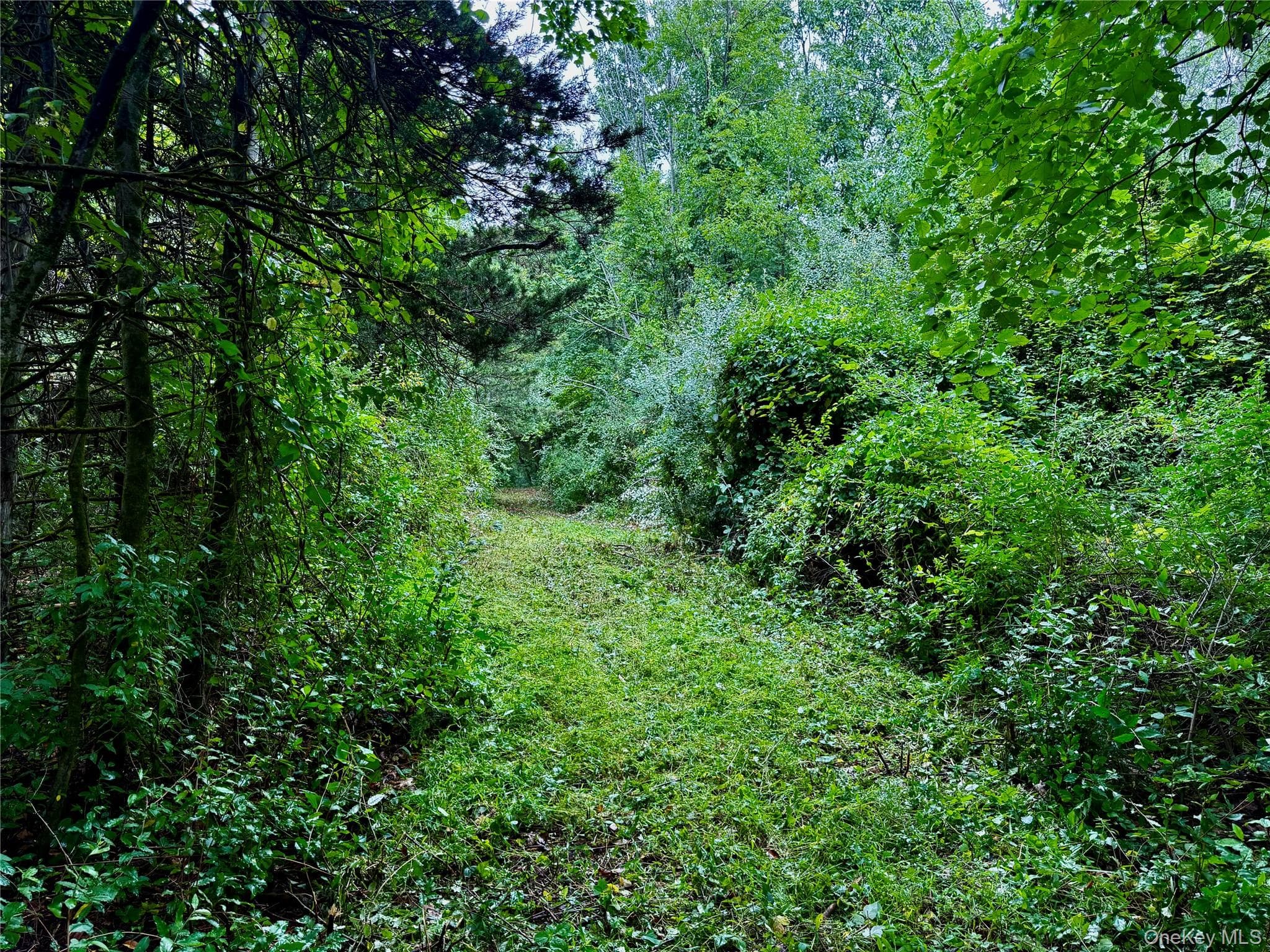 150 Weaver Road thumbnail 8