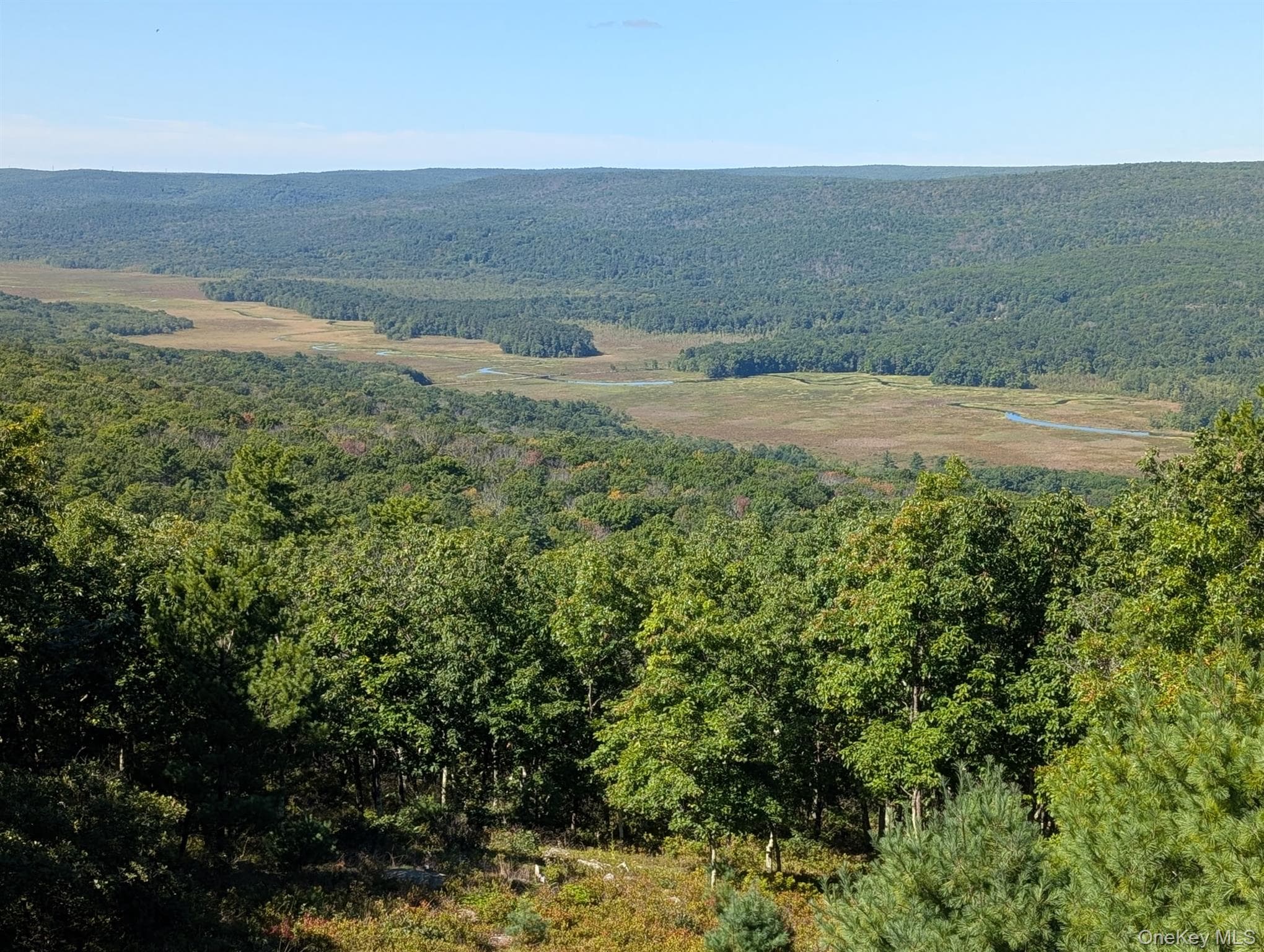 96 Treetops Trail thumbnail 35