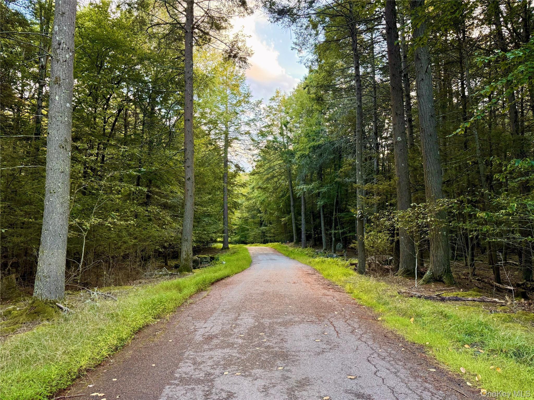 Orange Avenue photo 1
