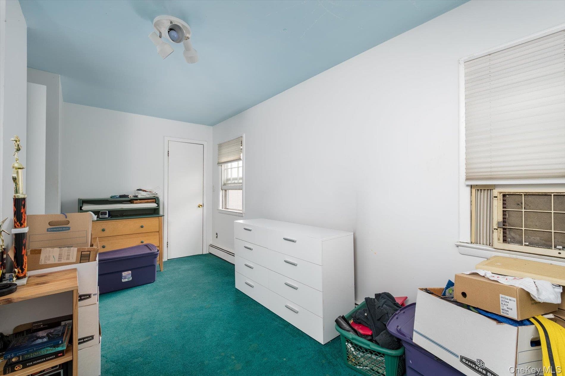 1135 Ruth Place thumbnail 9
