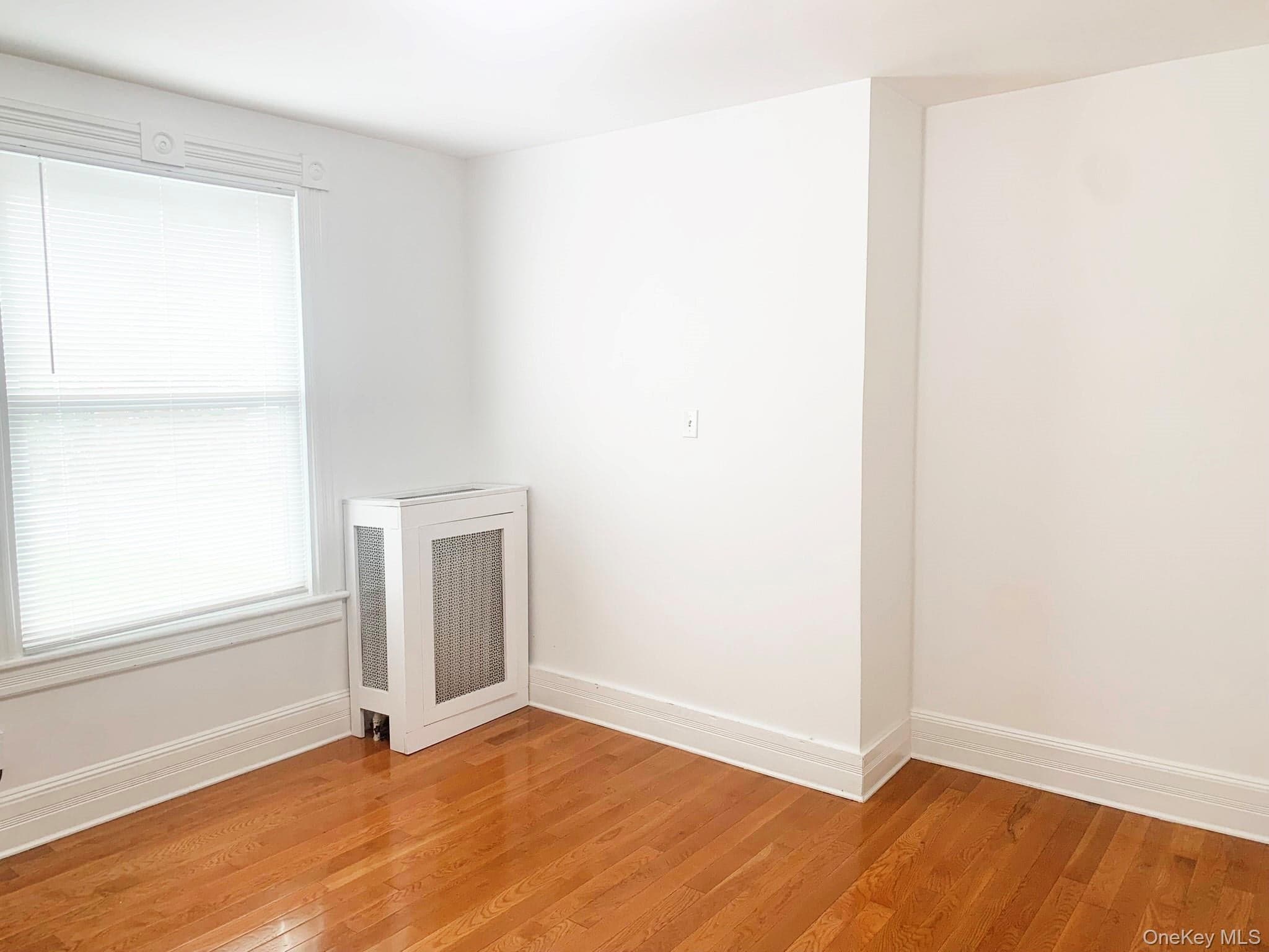 61 Schenck Avenue thumbnail 7