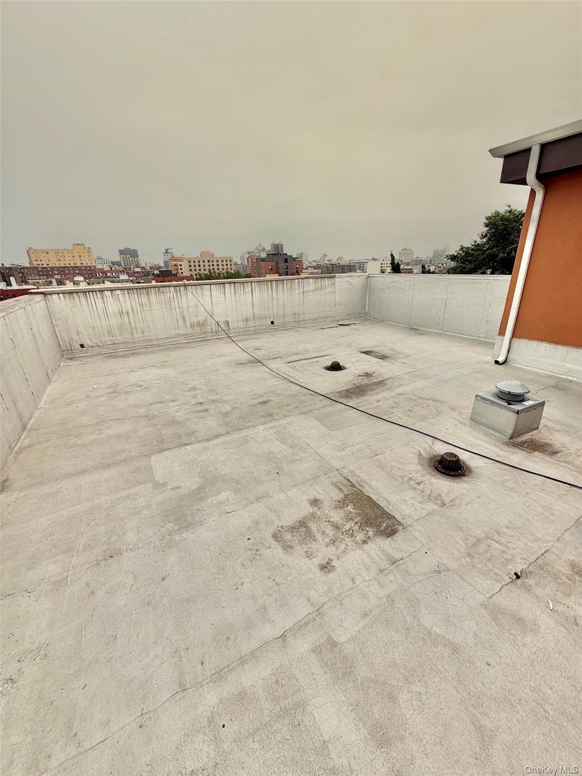 2097 Davidson Avenue thumbnail 20