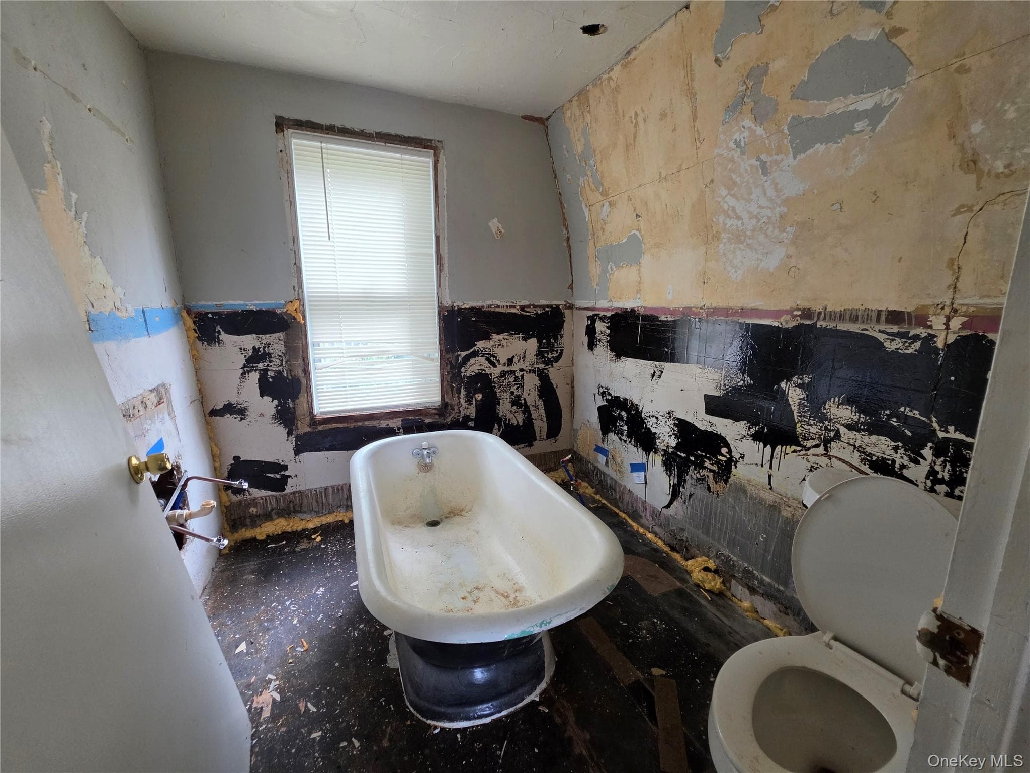 3015 Birch Avenue thumbnail 8