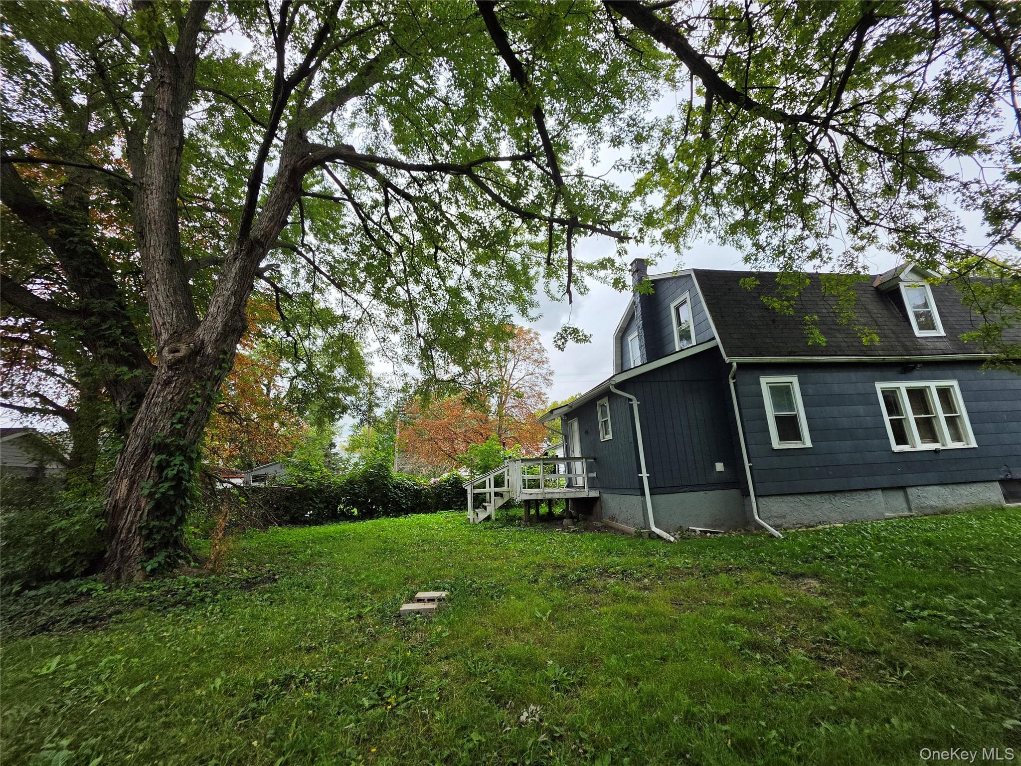 3015 Birch Avenue thumbnail 5