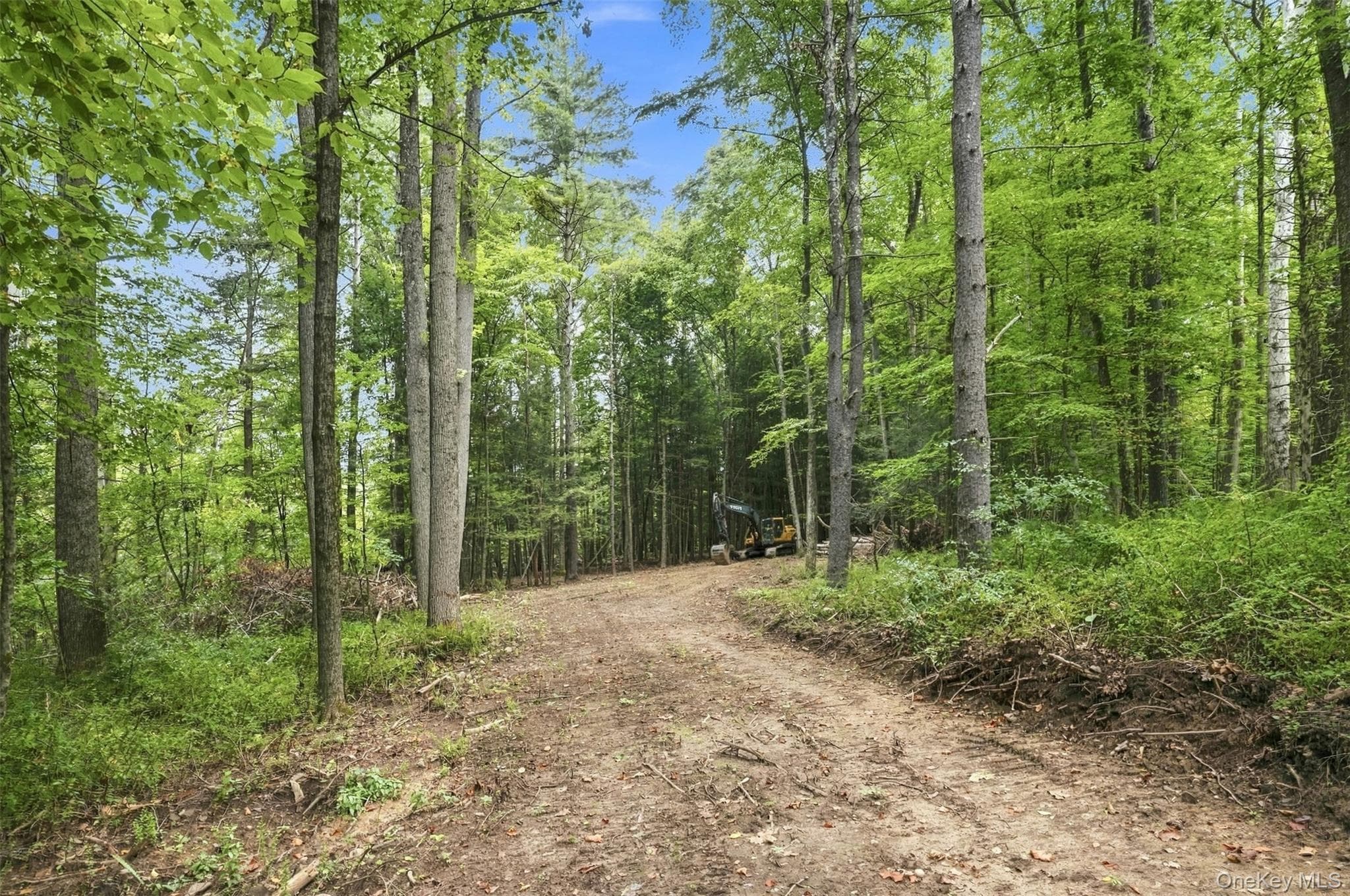 Bruceville Road thumbnail 16