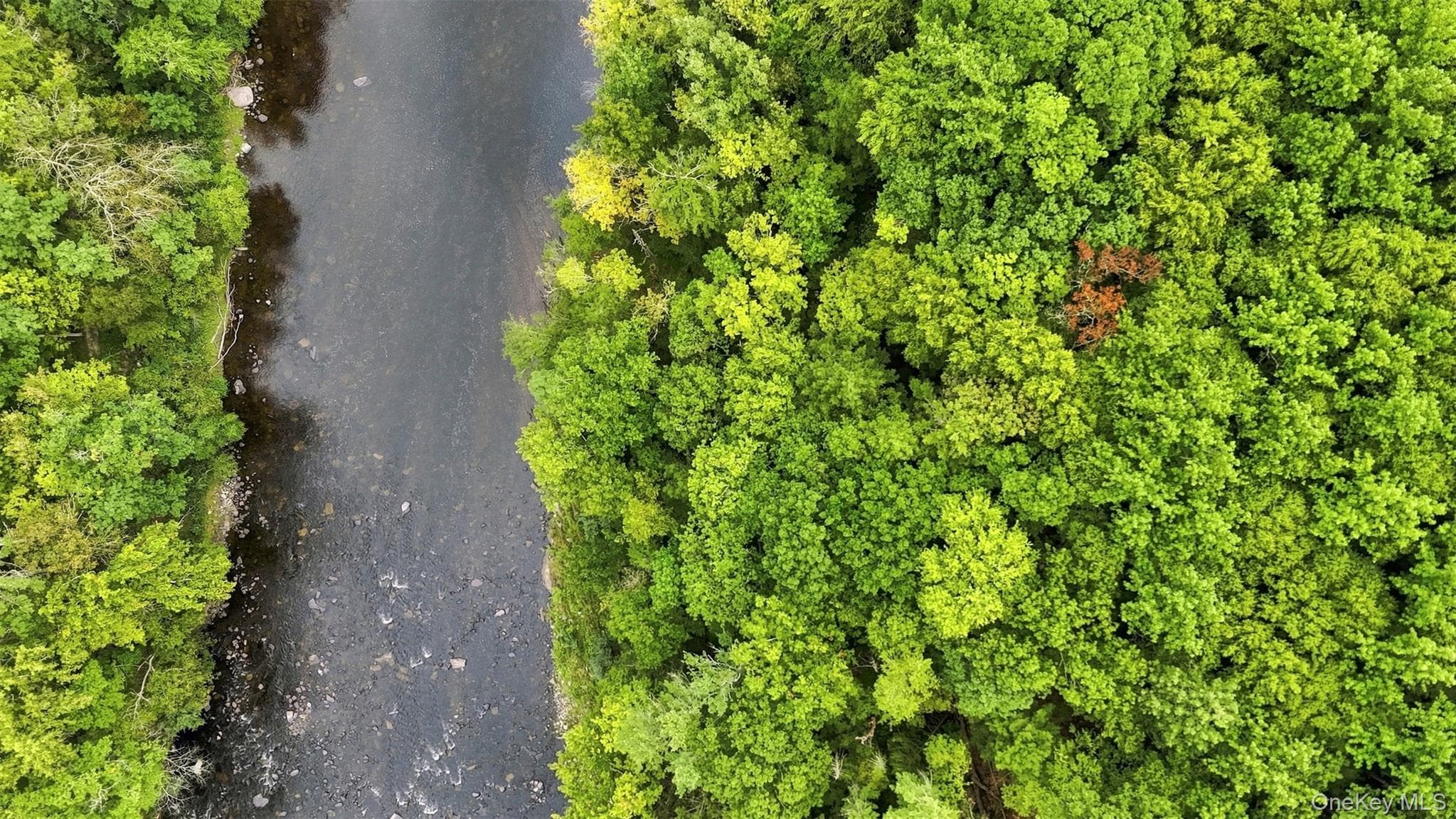 Bruceville Road thumbnail 15
