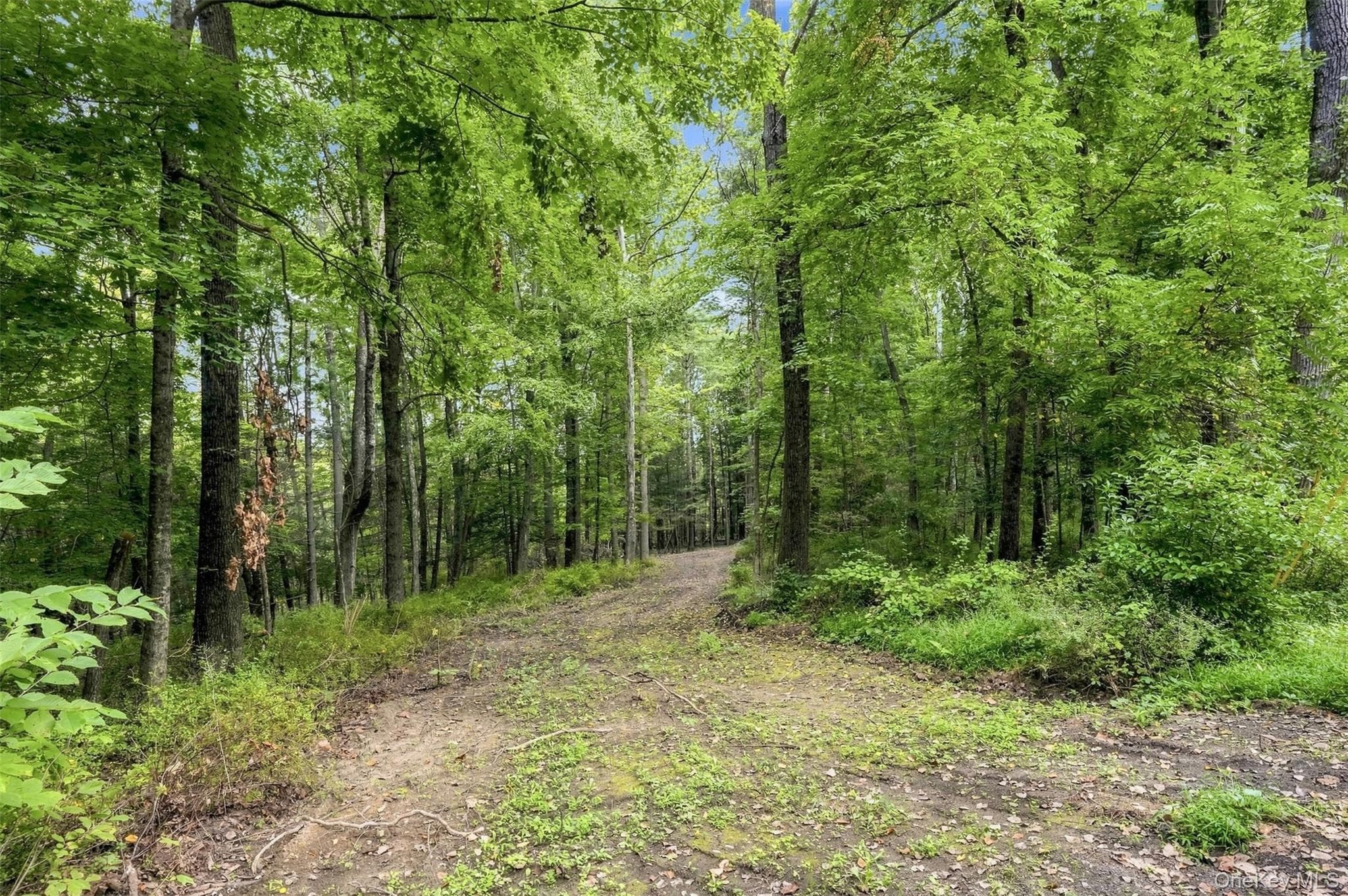 Bruceville Road thumbnail 18