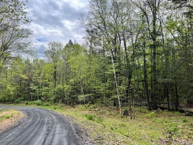 801 Oakwood Circle, Kingston