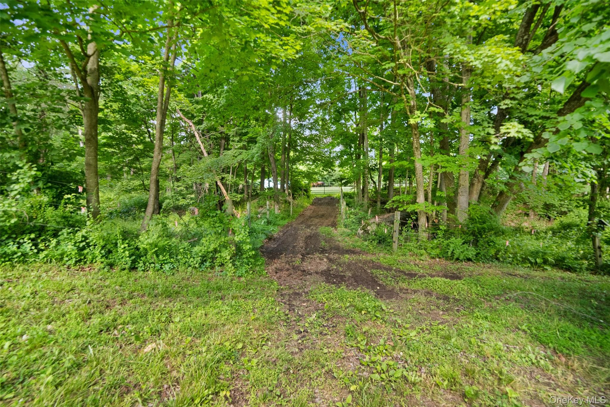 73 Lake Ellis Road thumbnail 37