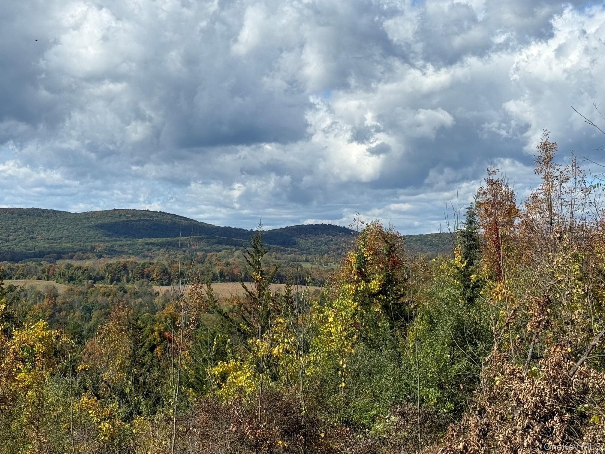 Lot # 11 Westerly Ridge Drive thumbnail 13