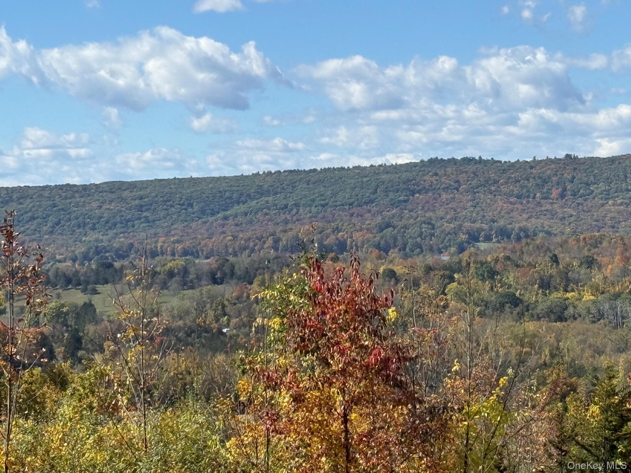 Lot # 11 Westerly Ridge Drive, Amenia