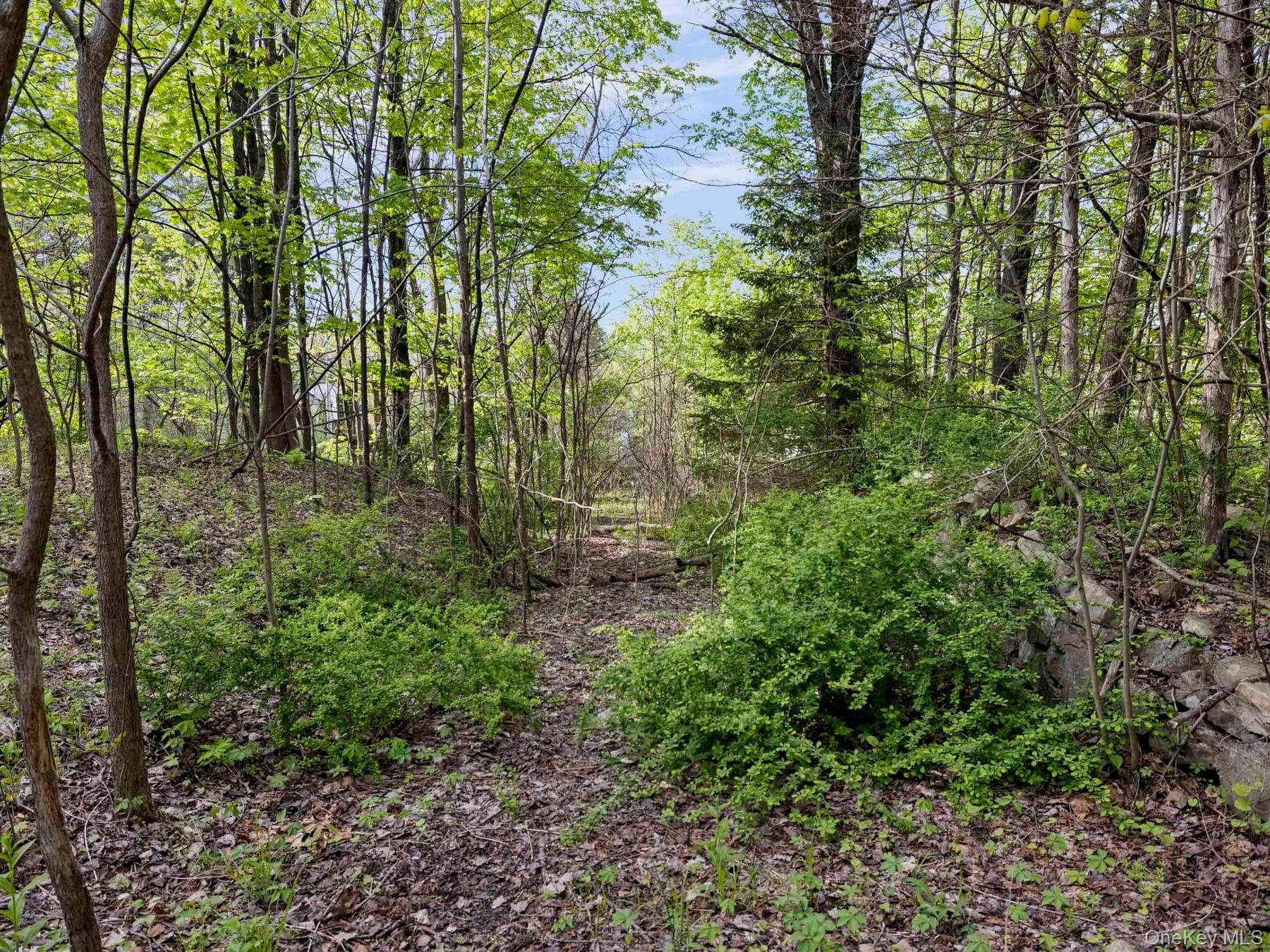 Tbd Route 44/55 thumbnail 9
