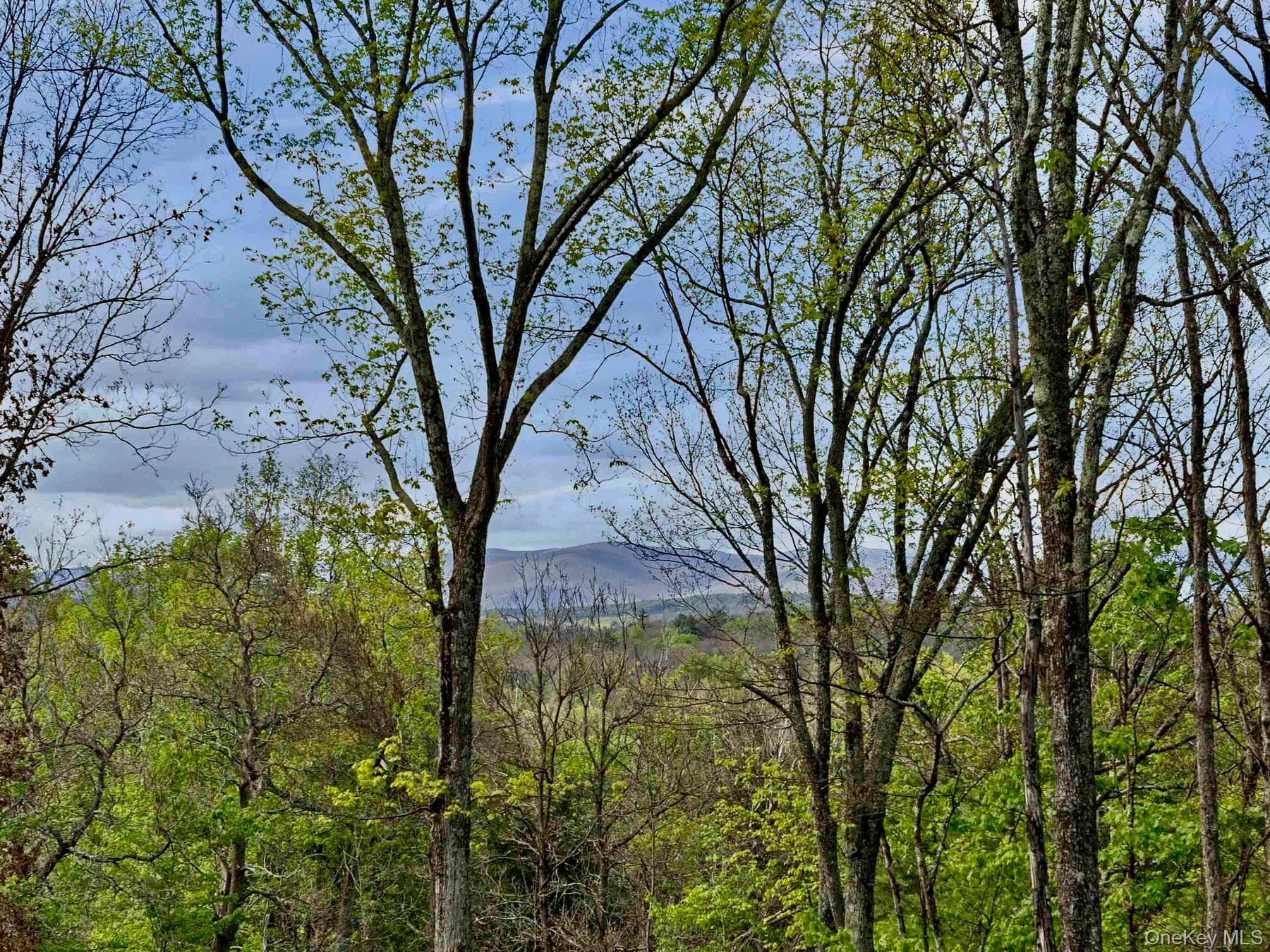 Tbd Route 44/55 photo 1