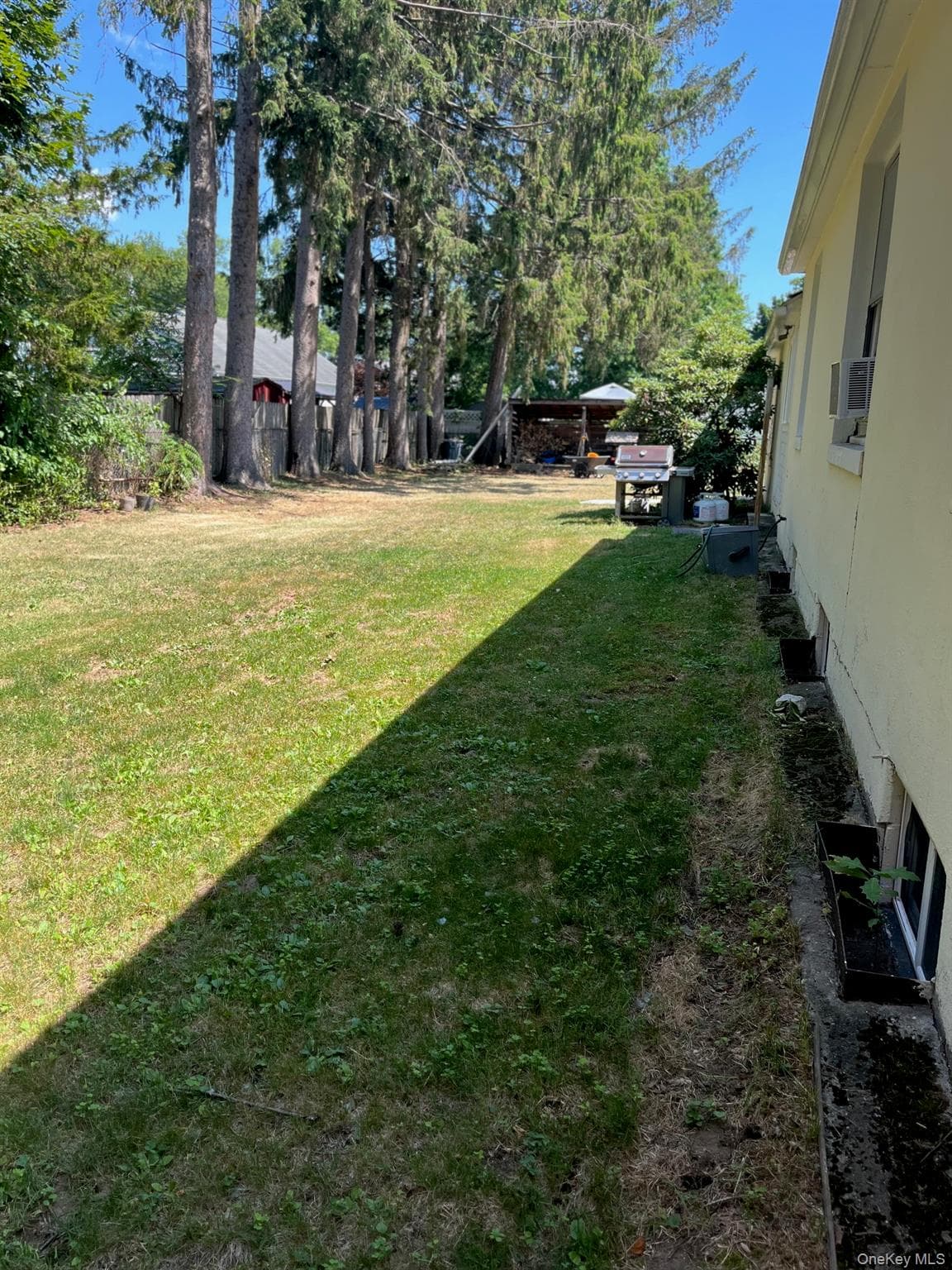 1067 Codwise Street thumbnail 30