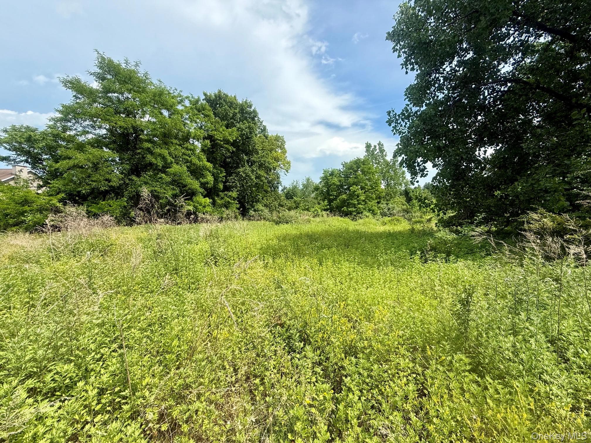 406 Country Club Lane thumbnail 4