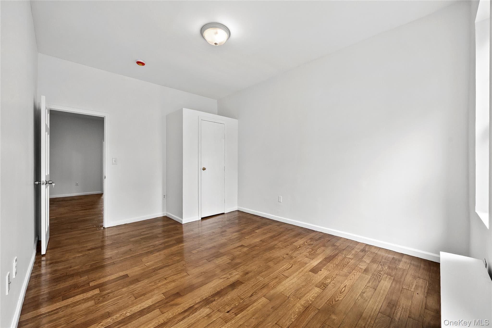 499 Hegeman Avenue thumbnail 8