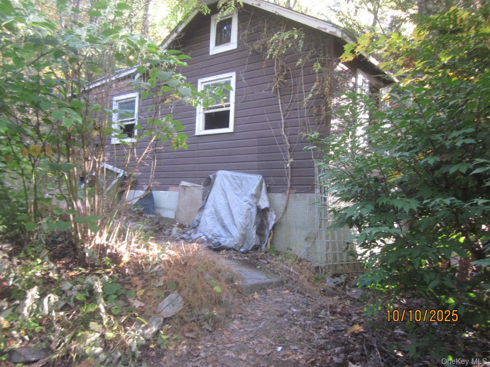 11 Woodland Circle thumbnail 3